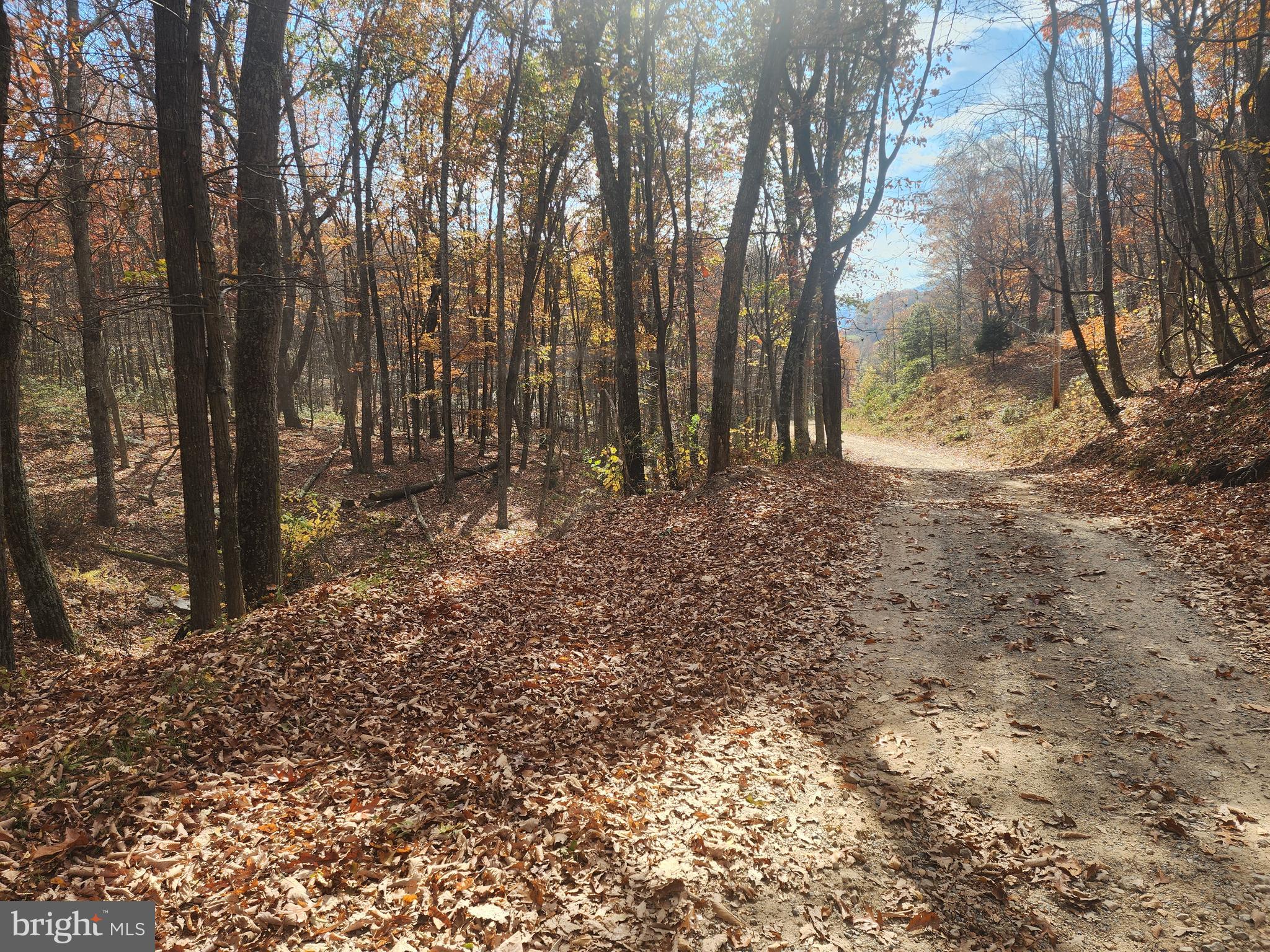 NONE AVAILABLE - Land