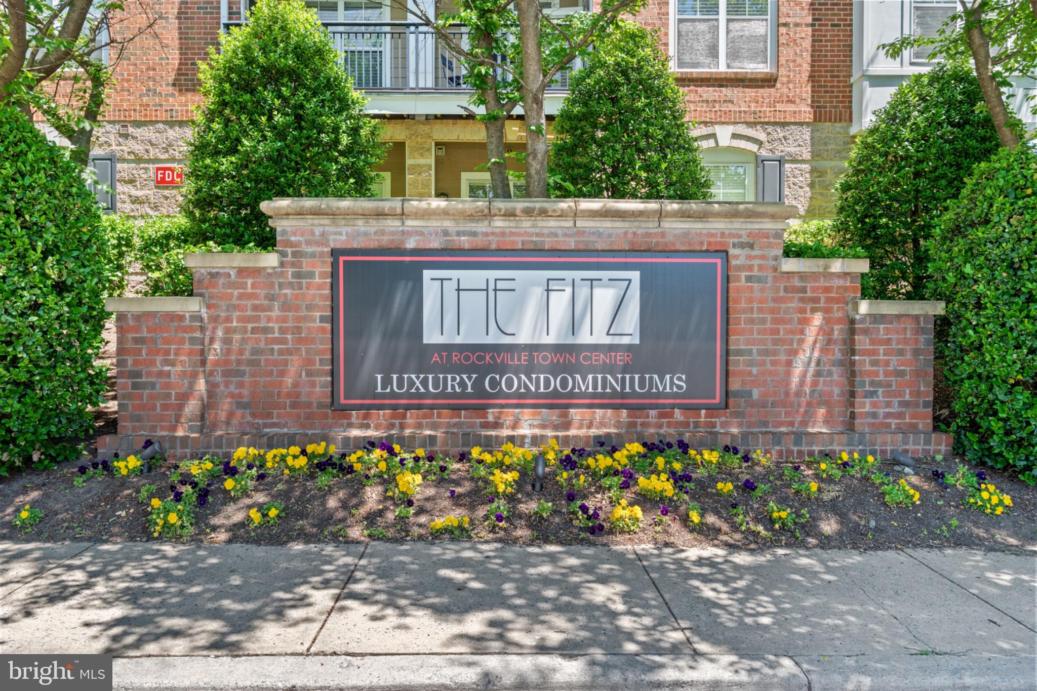 THE FITZ - Residential