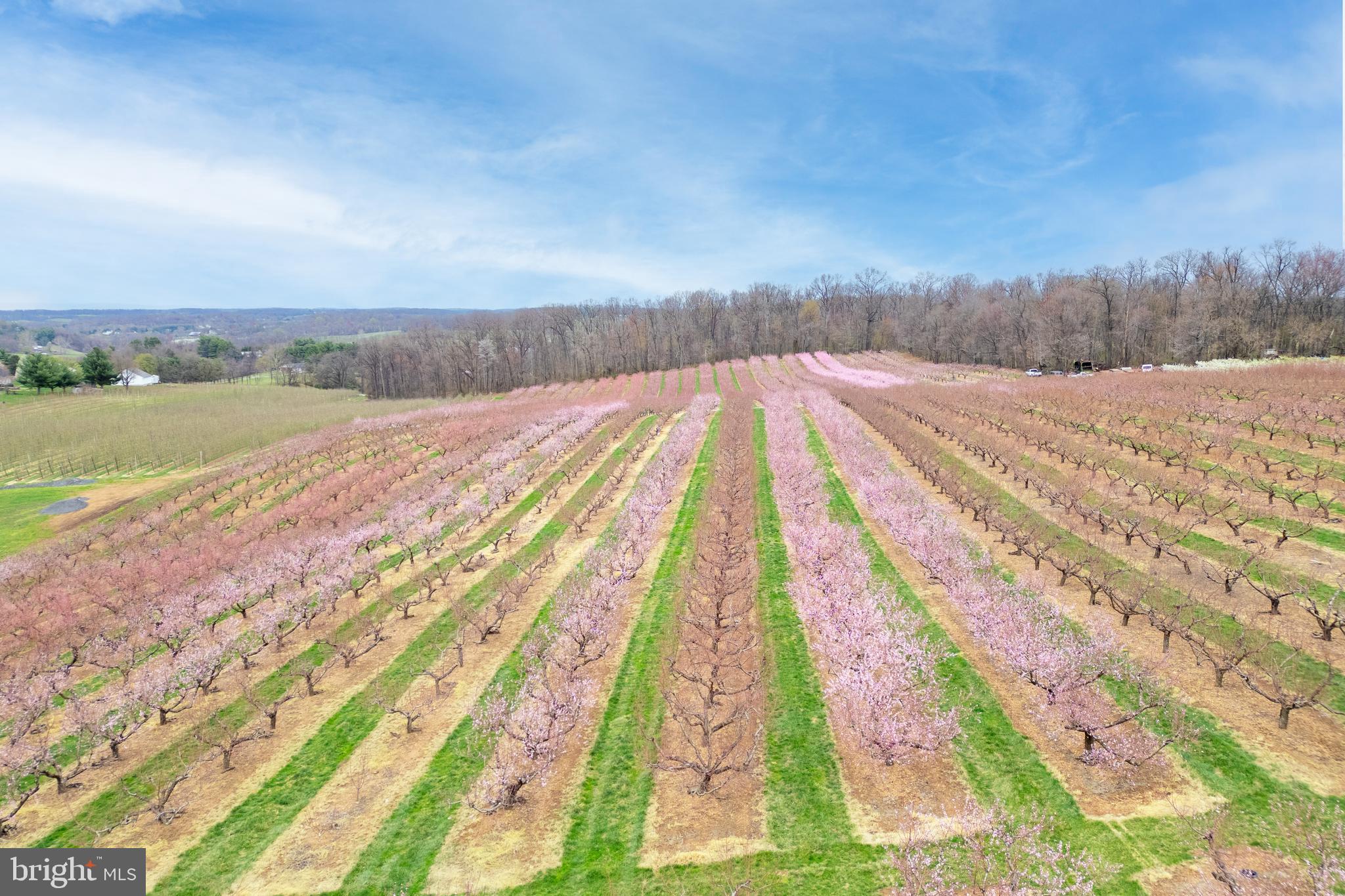 UNIONTOWN - Residential