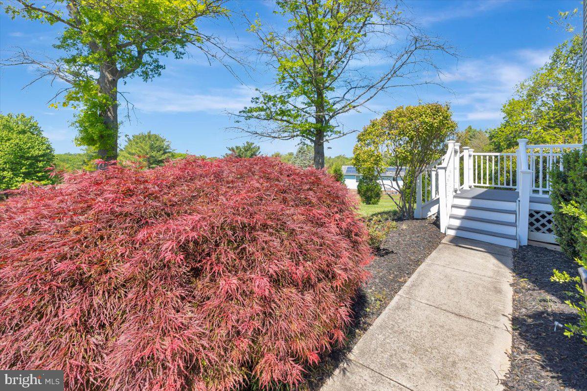 WALNUT RIDGE - Residential