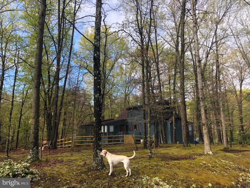 THE WOODS - Residential