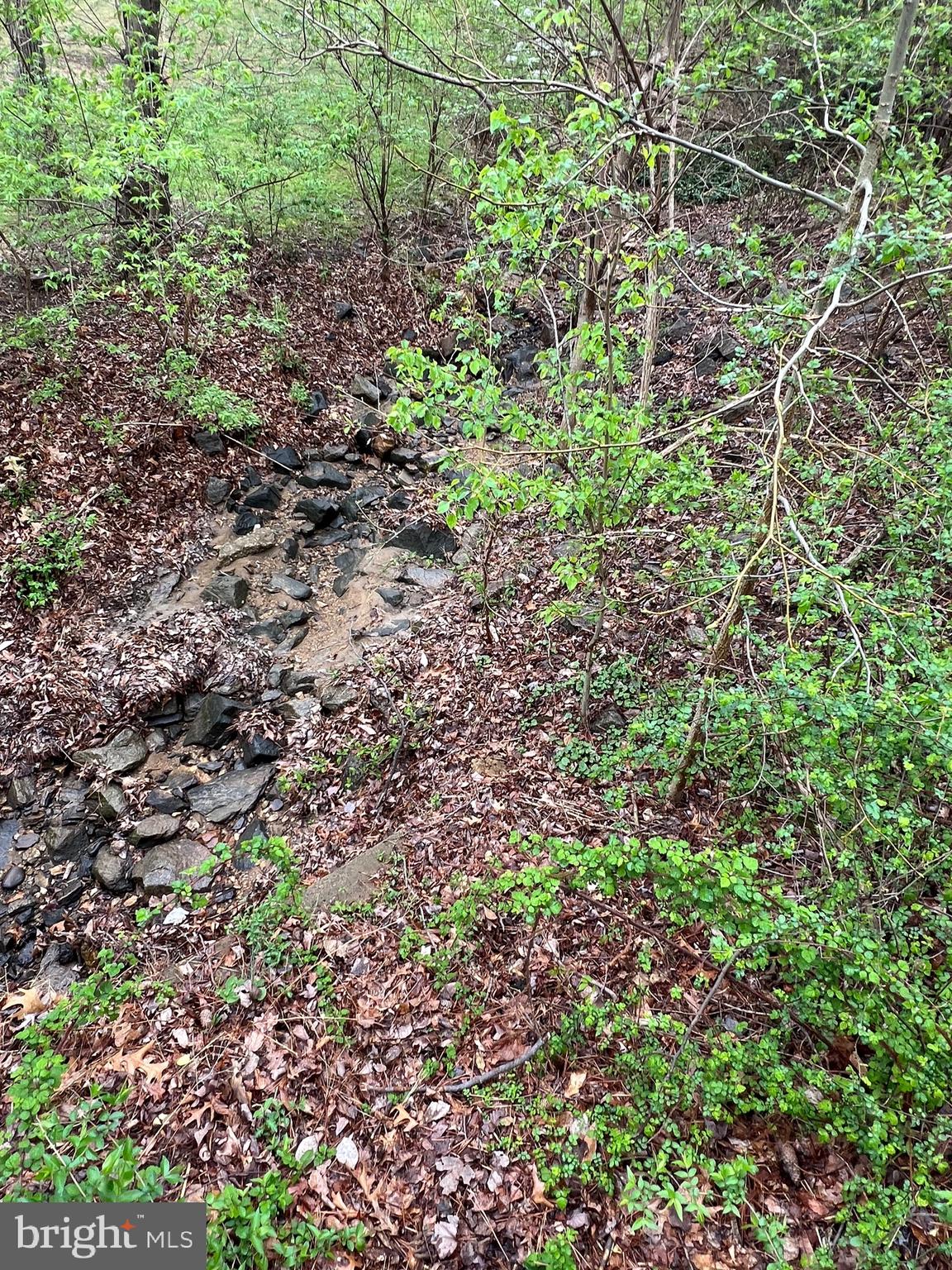 TANGLEWOOD - Residential