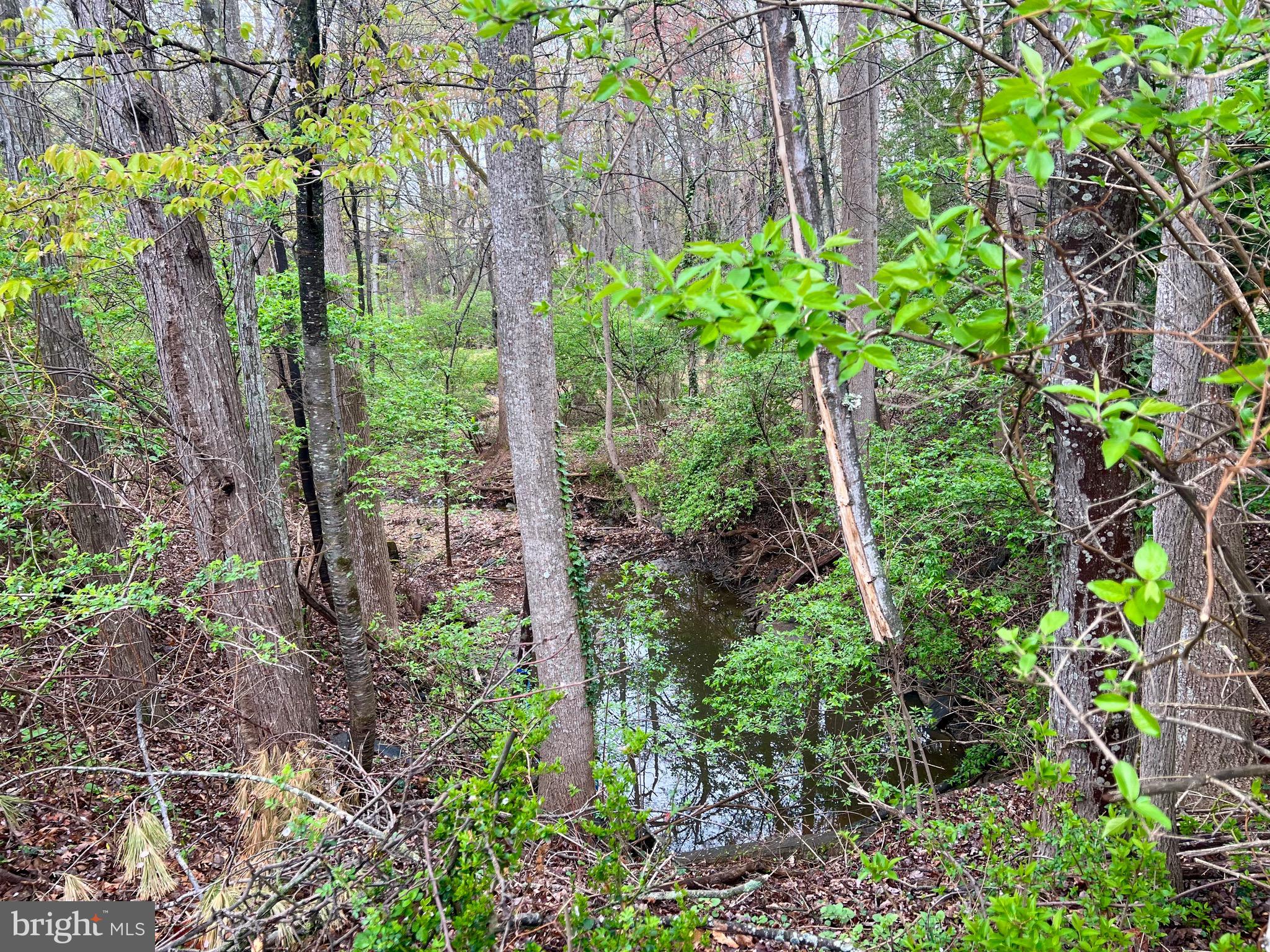 TANGLEWOOD - Residential