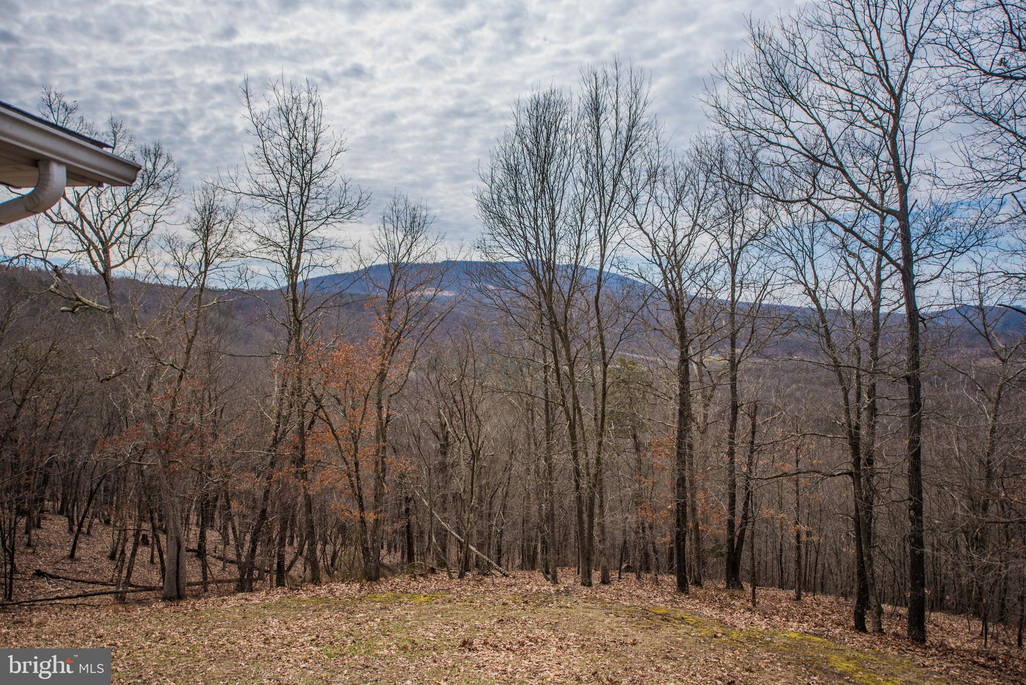 POTOMAC RIVER VISTA - Residential