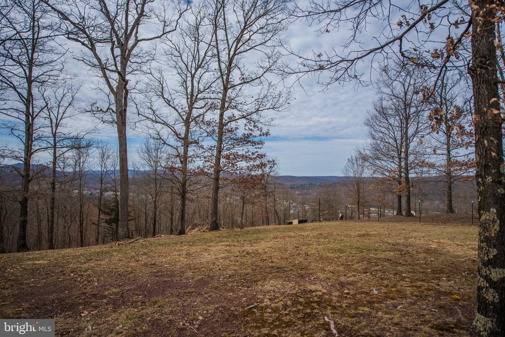 POTOMAC RIVER VISTA - Residential