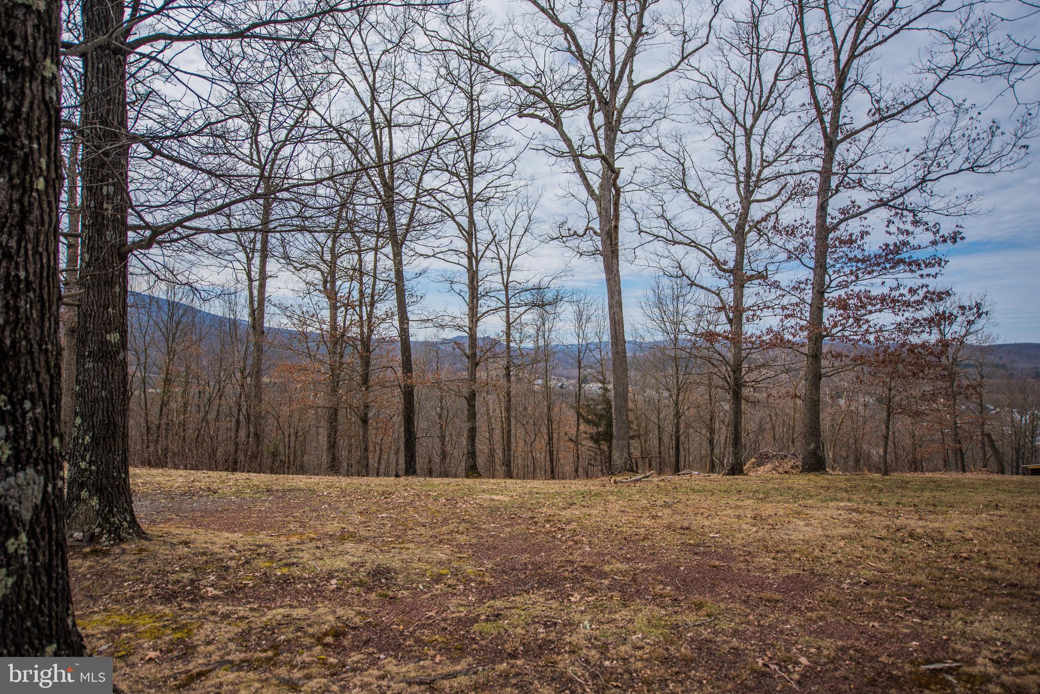 POTOMAC RIVER VISTA - Residential