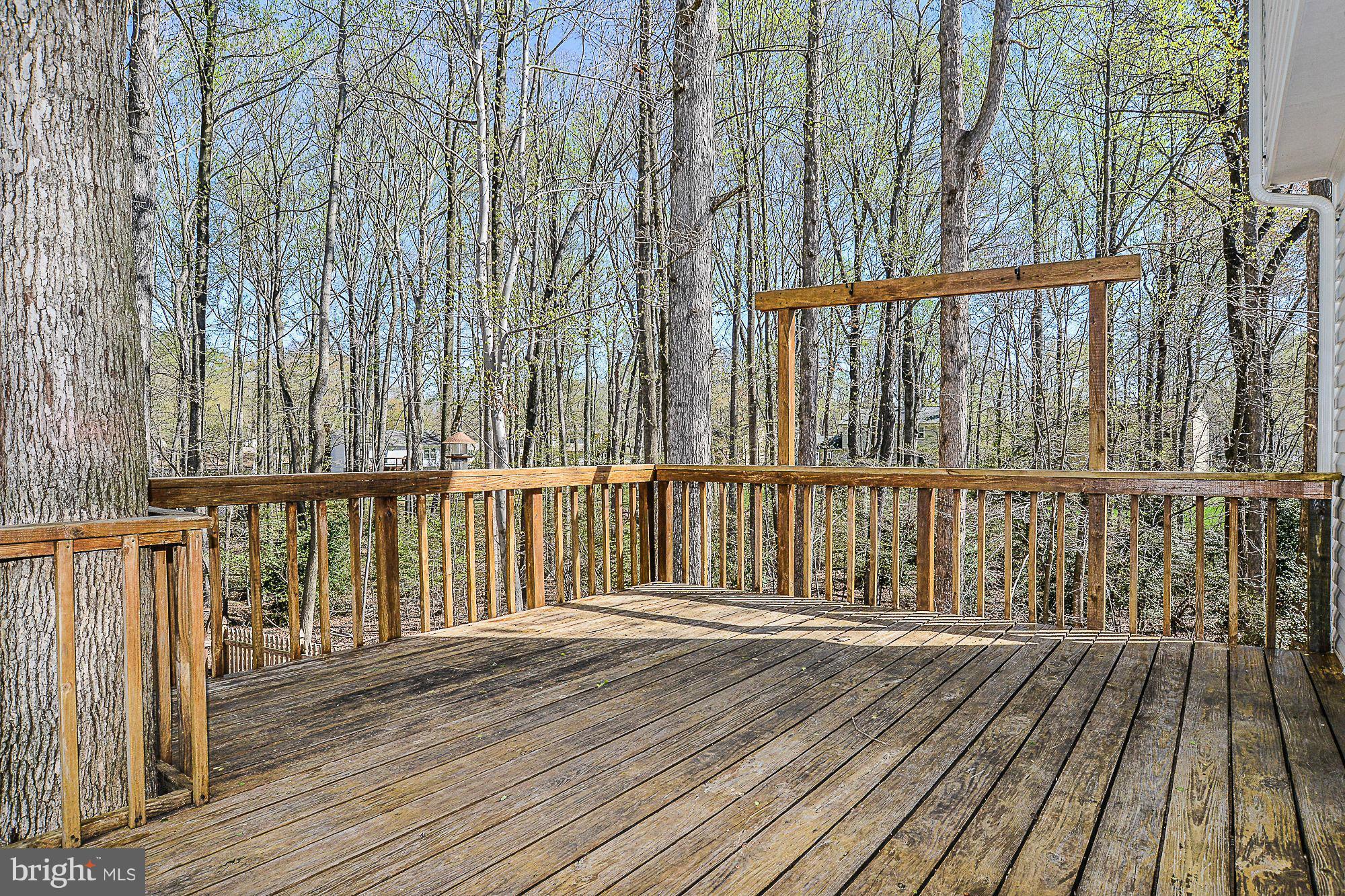 LAKE RIDGE - Residential Lease