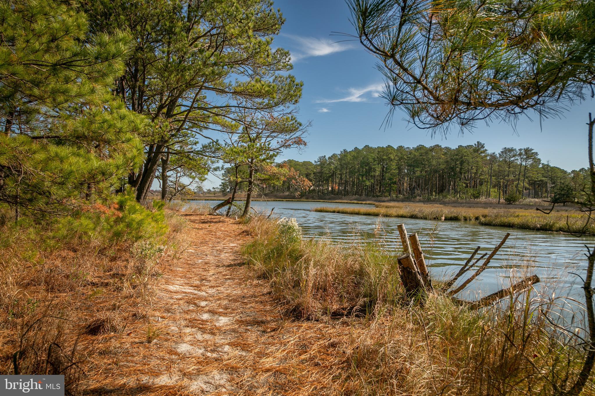 SALT POND - Residential