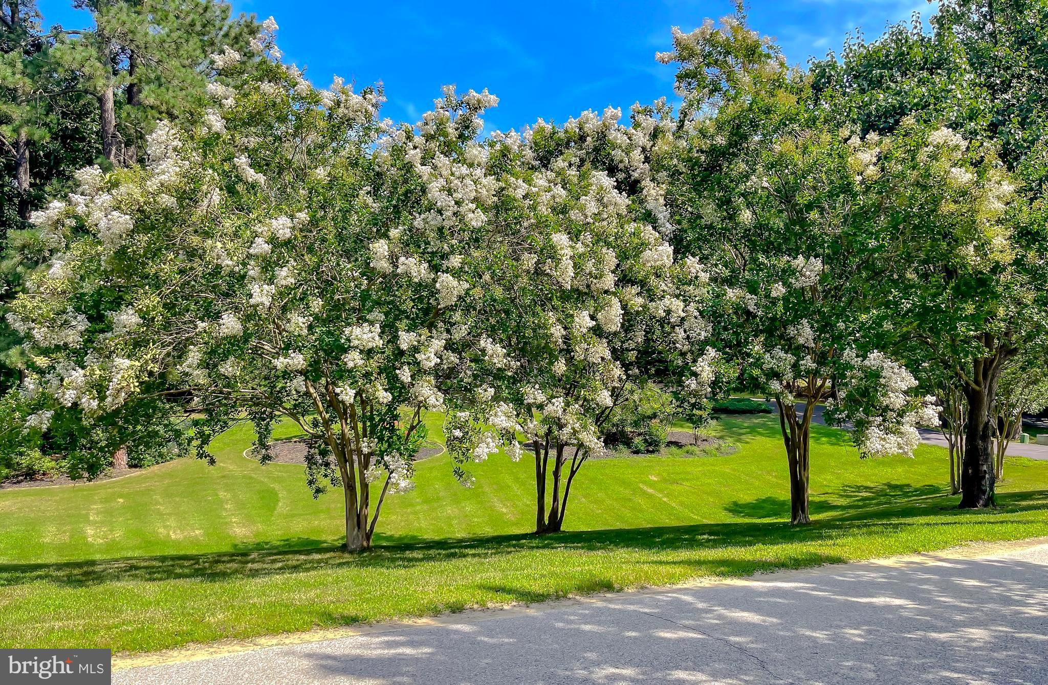 PERSIMMON HILLS - Residential