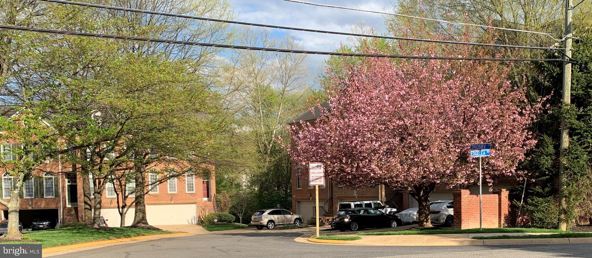 EDGELEA GARDENS - Residential