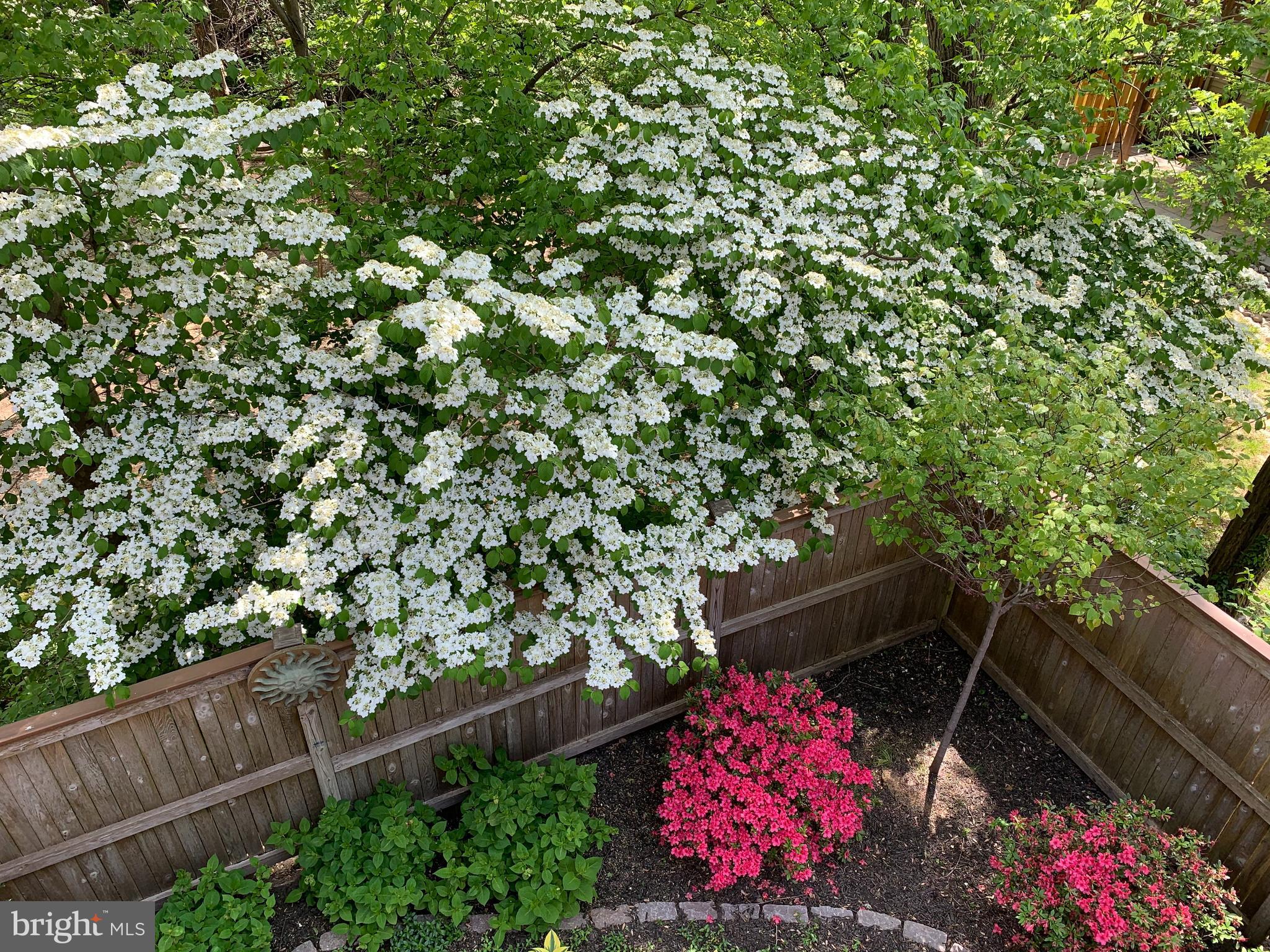 EDGELEA GARDENS - Residential