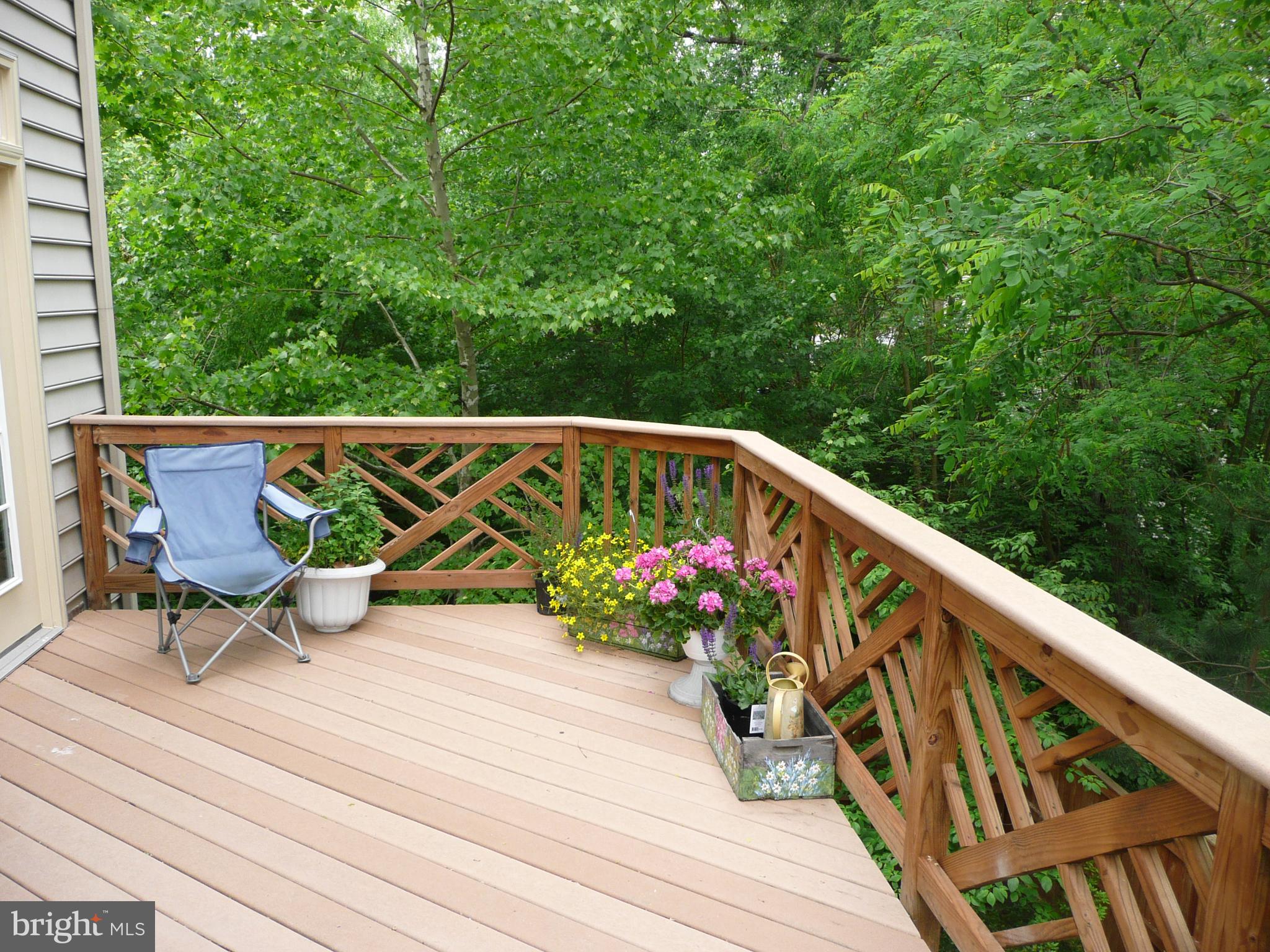 EDGELEA GARDENS - Residential