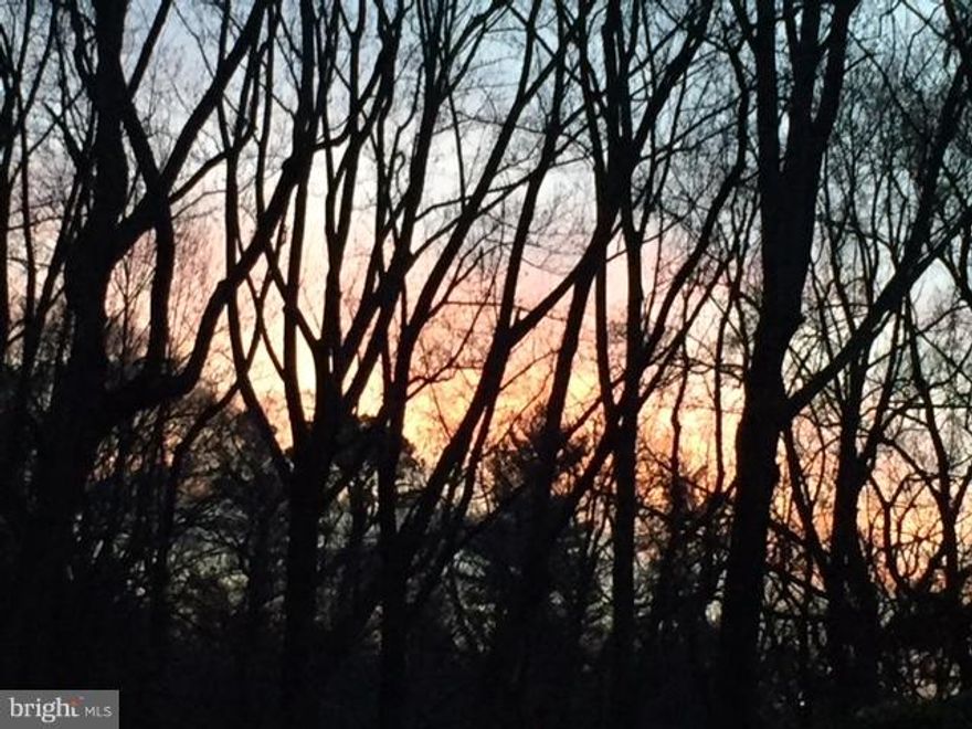 Ultimate in privacy and convenient location with magnificent sunset views in East and West Langley Farms w/ soaring views from the top of the hill overlooking the neighborhood and Country Day School in the distance. Original owners. Public utilities available with hook up fee. House on property sold as-is.