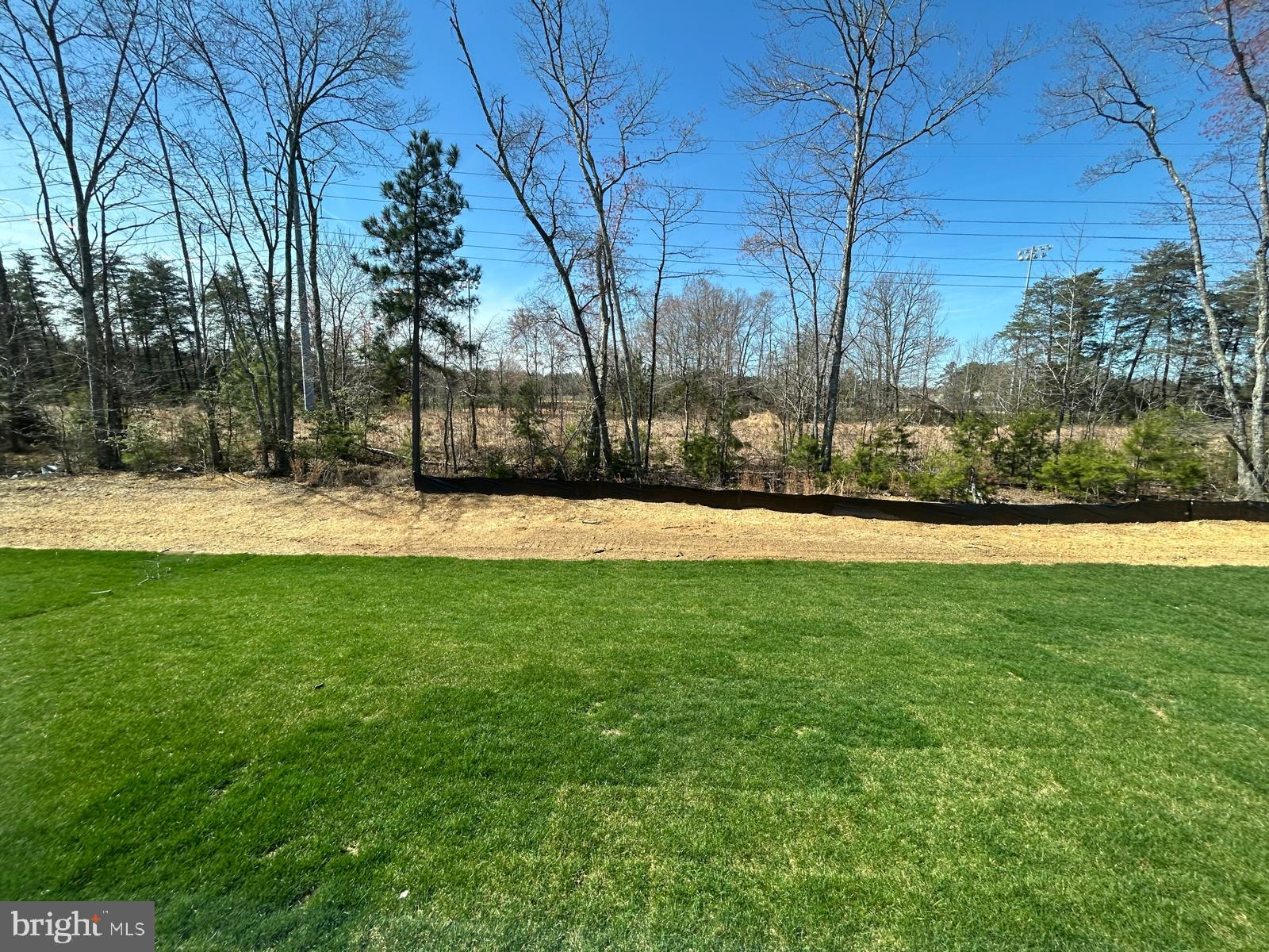 10095 SHENANDOAH LANE