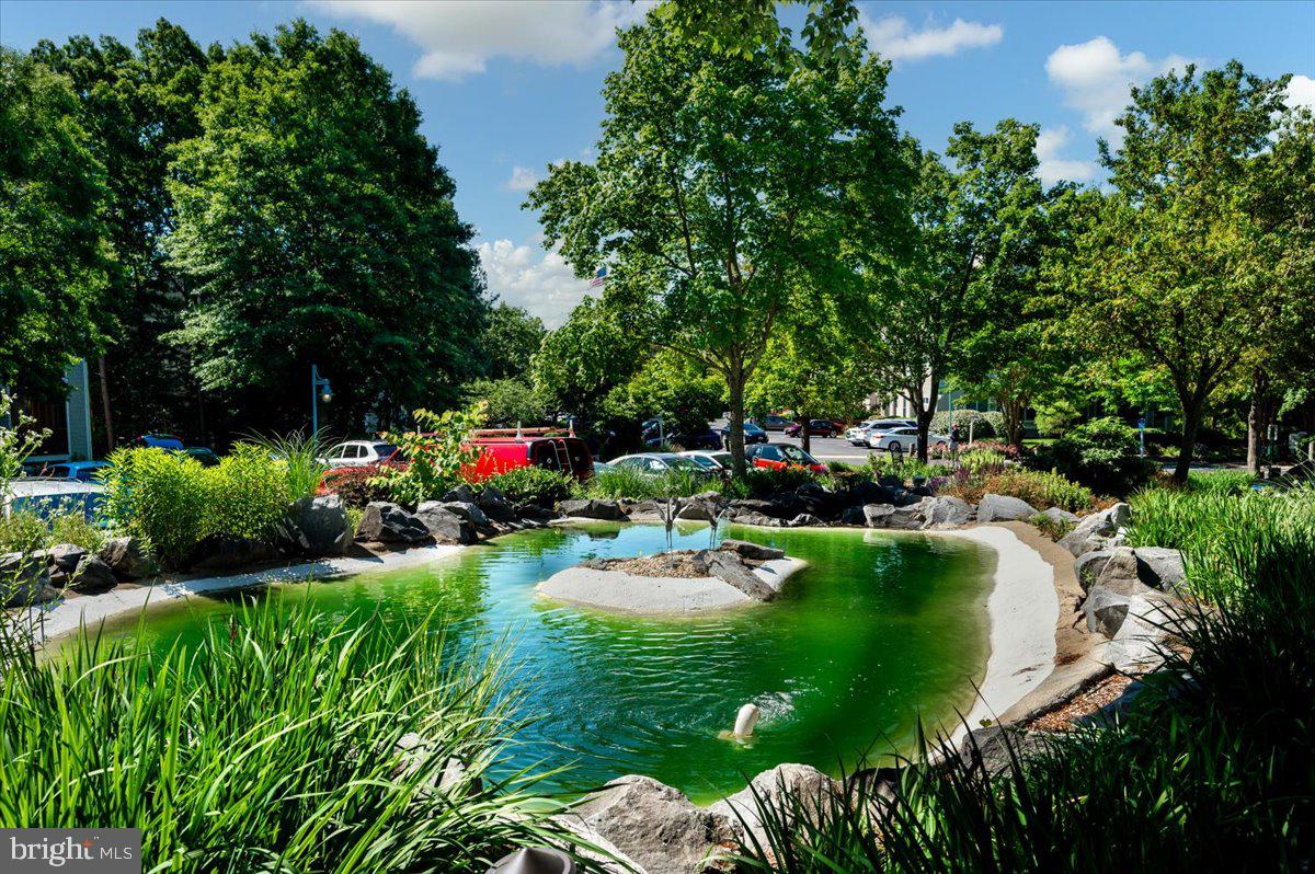 SOLOMONS LANDING - Residential Lease