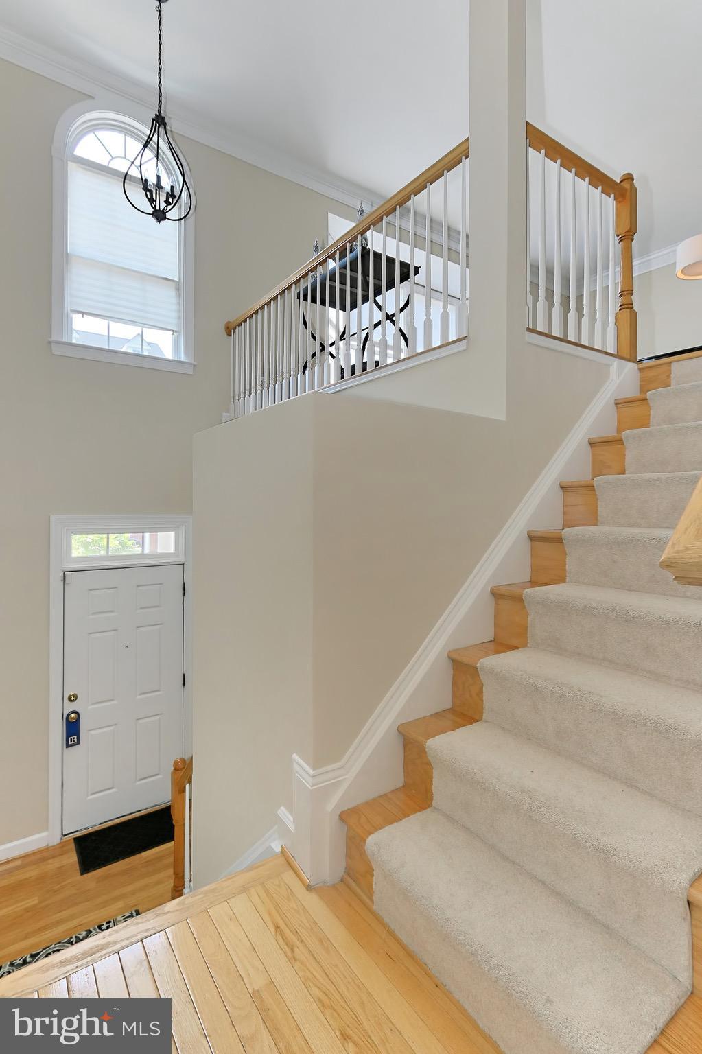 TOWELLS - Residential