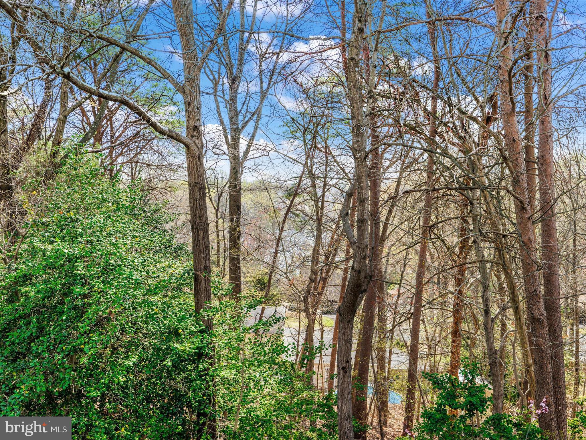 SHORE ACRES - Residential