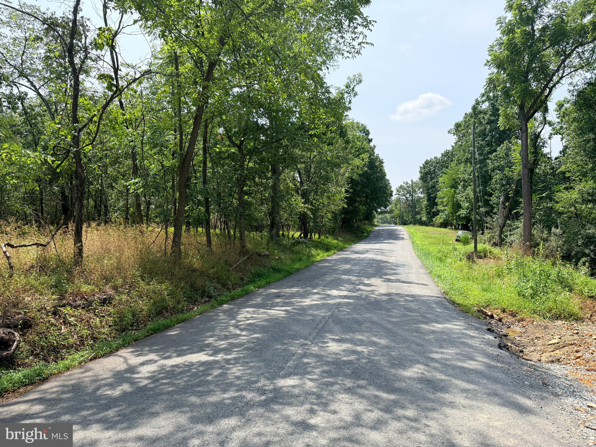 4272 TIMBER RIDGE ROAD