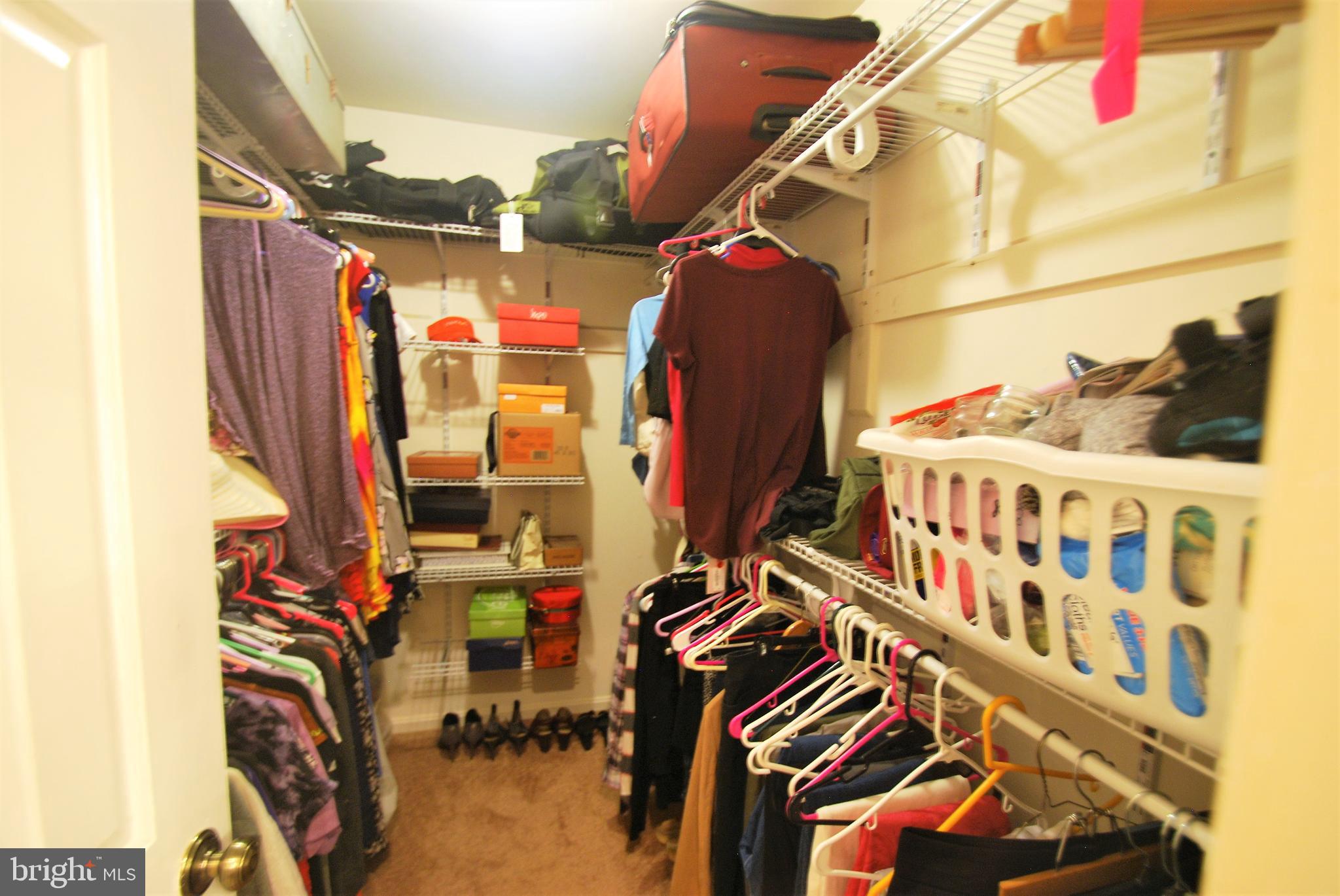 WOODBINE WOODS - Residential