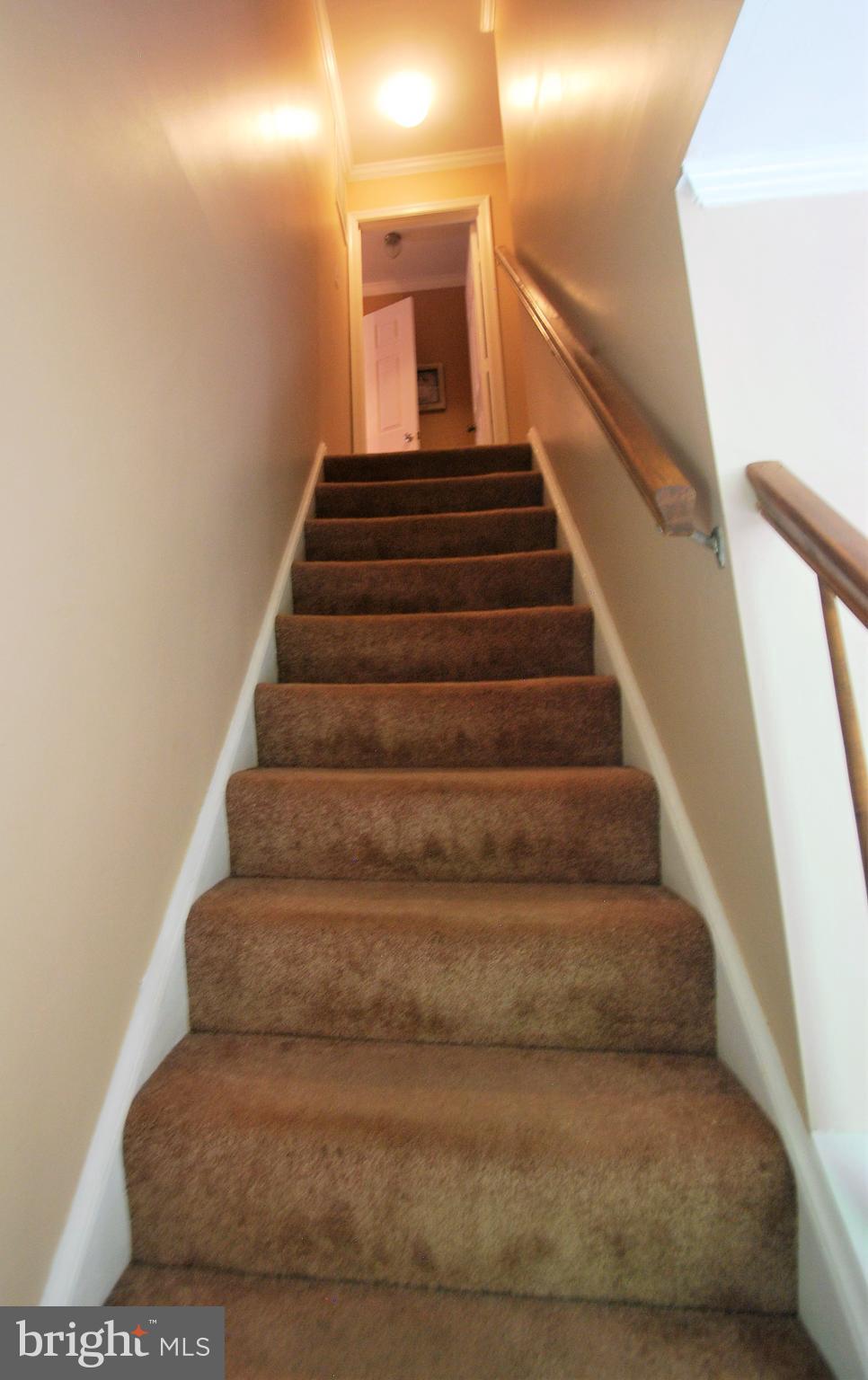 WOODBINE WOODS - Residential