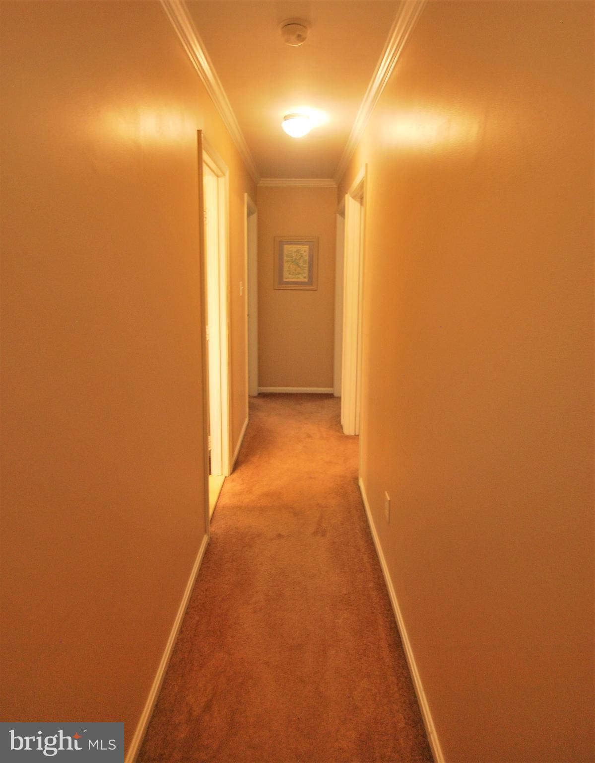 WOODBINE WOODS - Residential