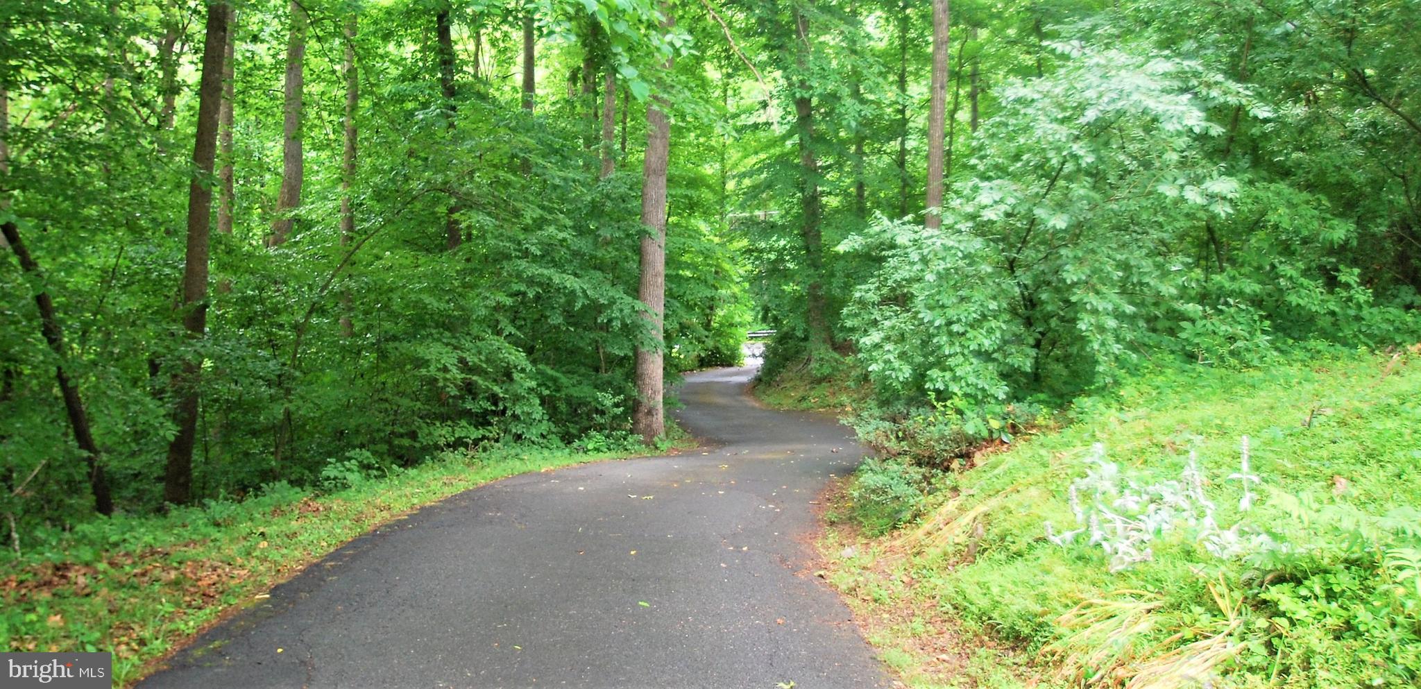 WOODBINE WOODS - Residential