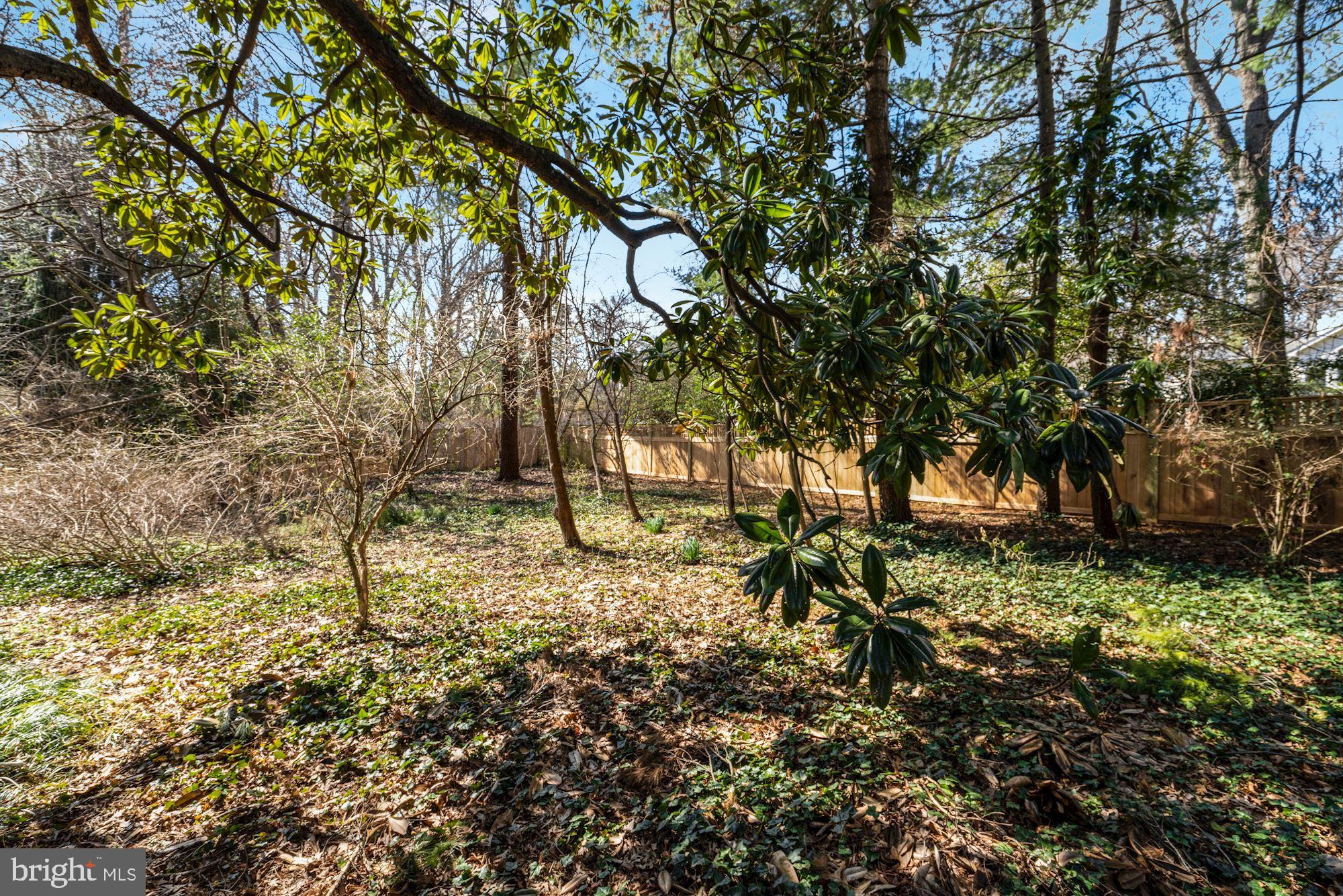 BRADLEY WOODS - Residential