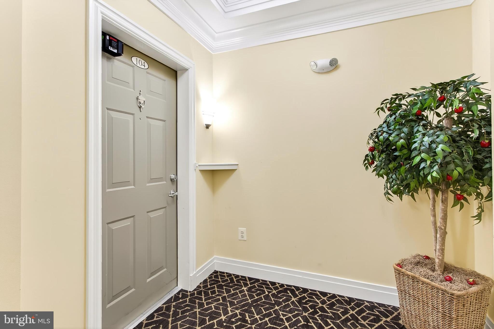7880 ROLLING WOODS COURT 104