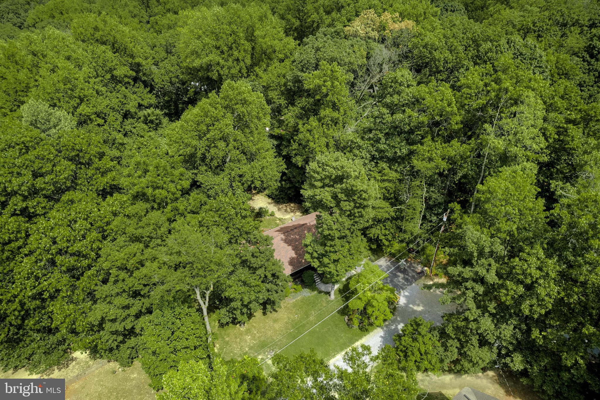 RIVER VIEW PARK - Residential