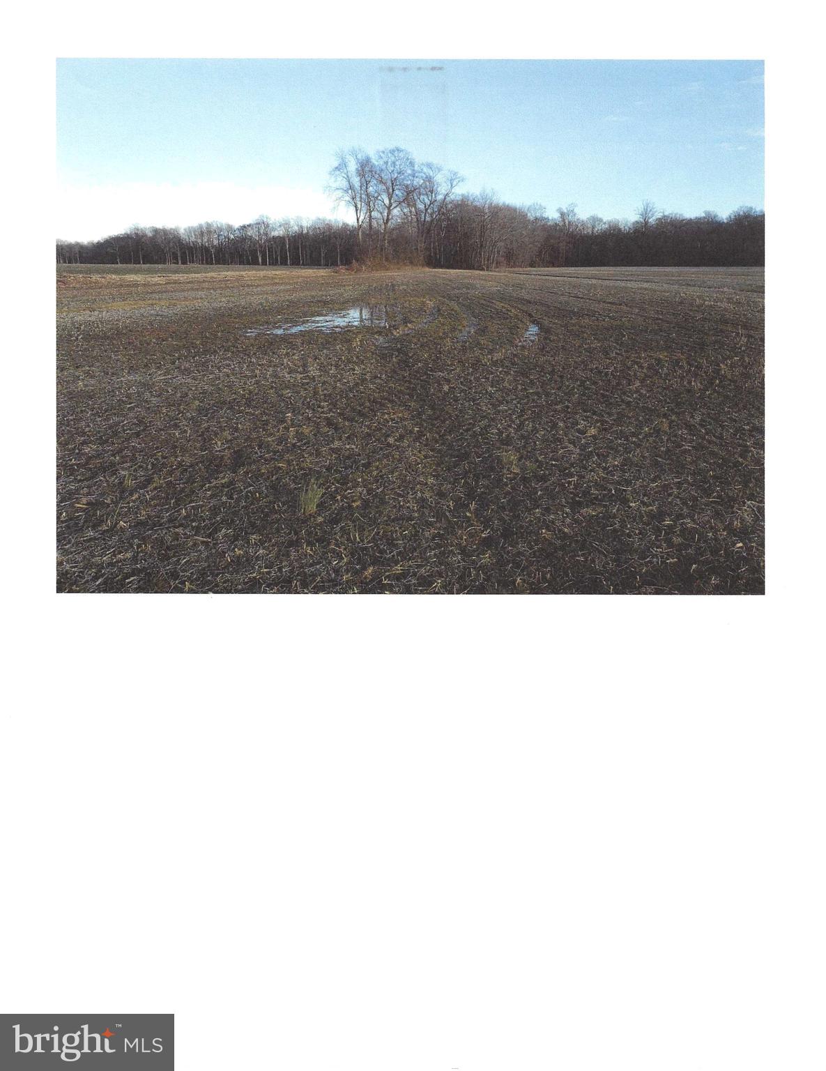 1389 CEDAR GROVE CHURCH ROAD