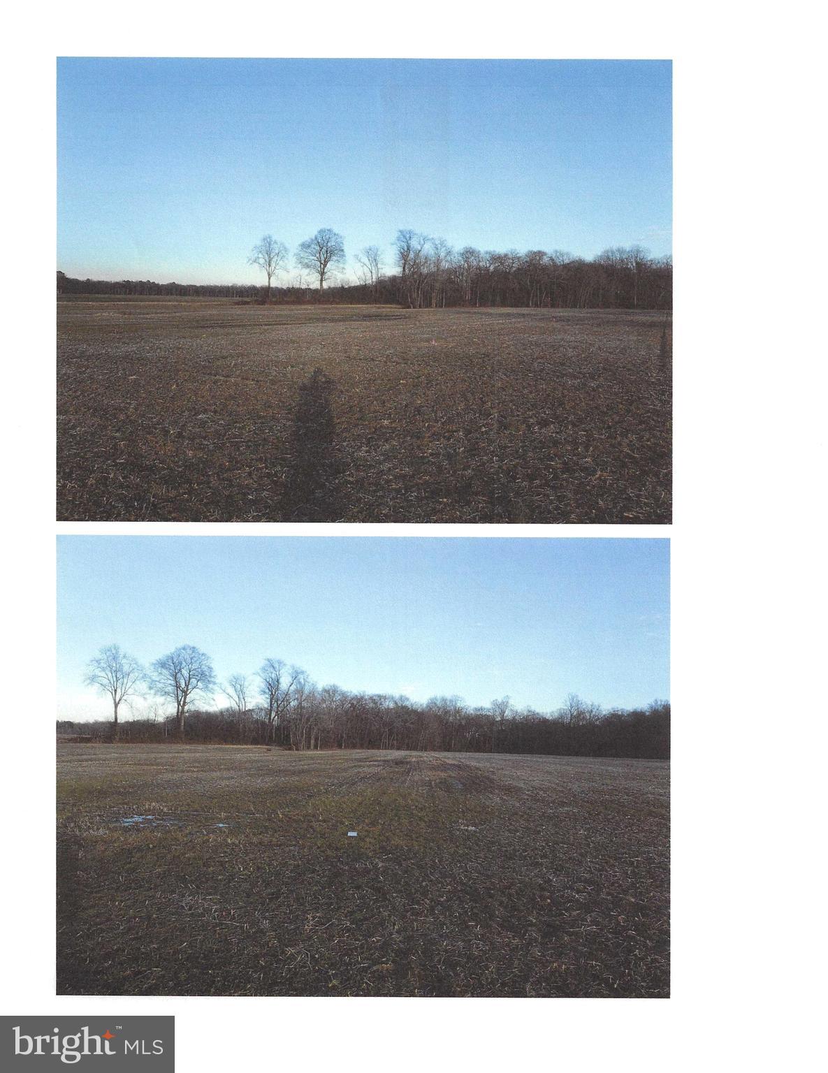 1389 CEDAR GROVE CHURCH ROAD