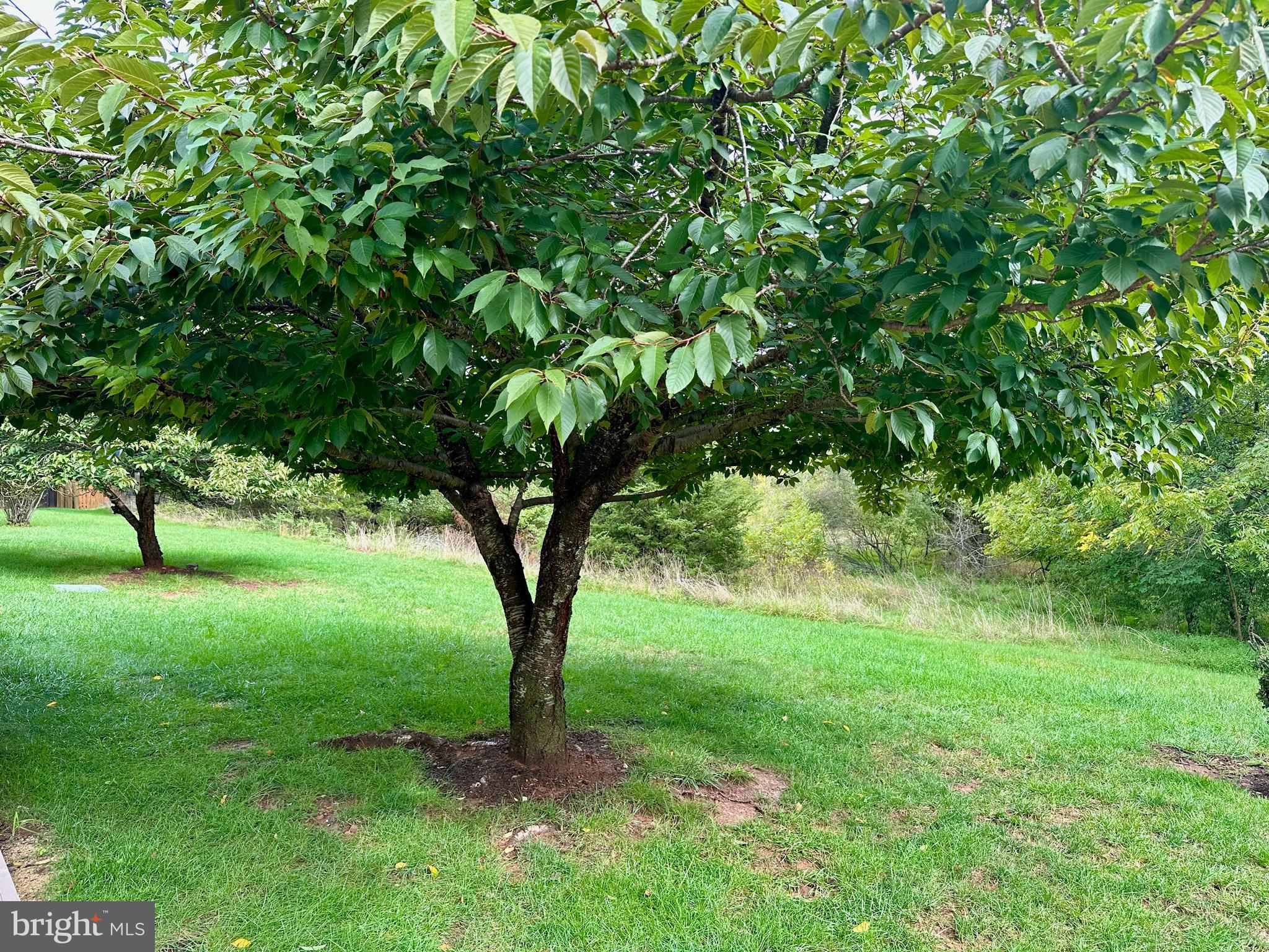 ASHBURN VILLAGE - Residential