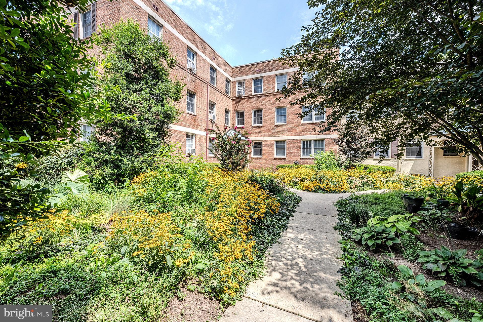 2219 WASHINGTON AVENUE 203