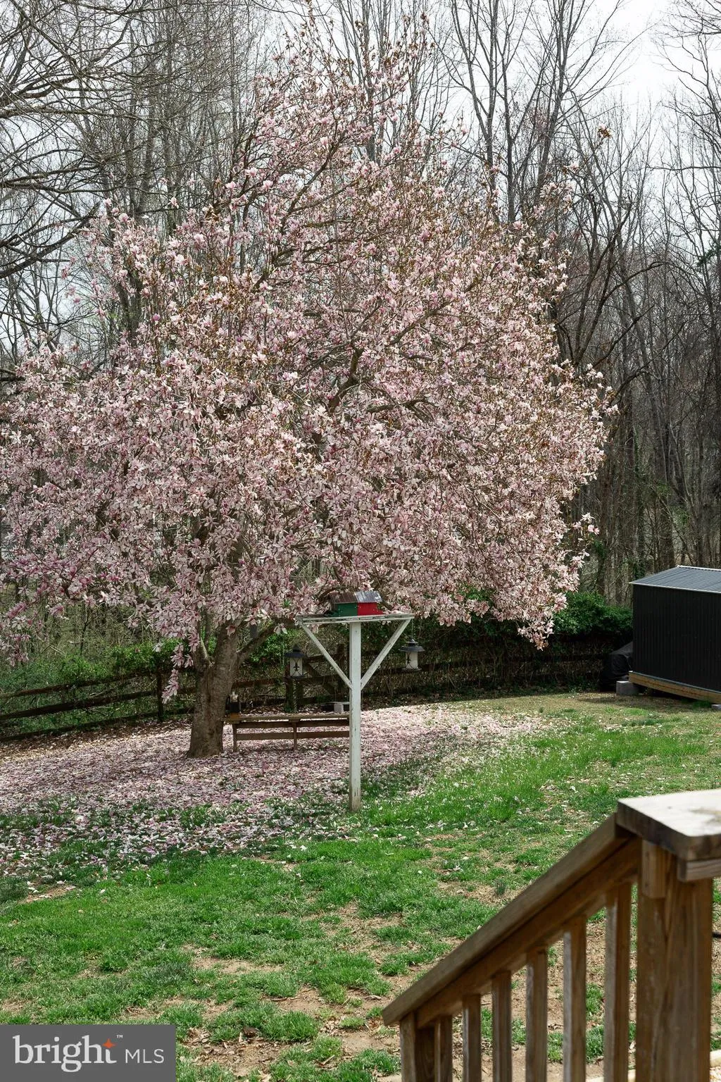 Spotsylvania, Virginia 22553, United States, 4 Bedrooms Bedrooms, ,3 BathroomsBathrooms,Residential,Active,100924