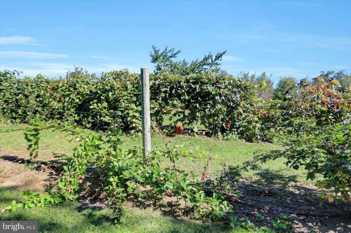 ANTRIM TWP - Residential