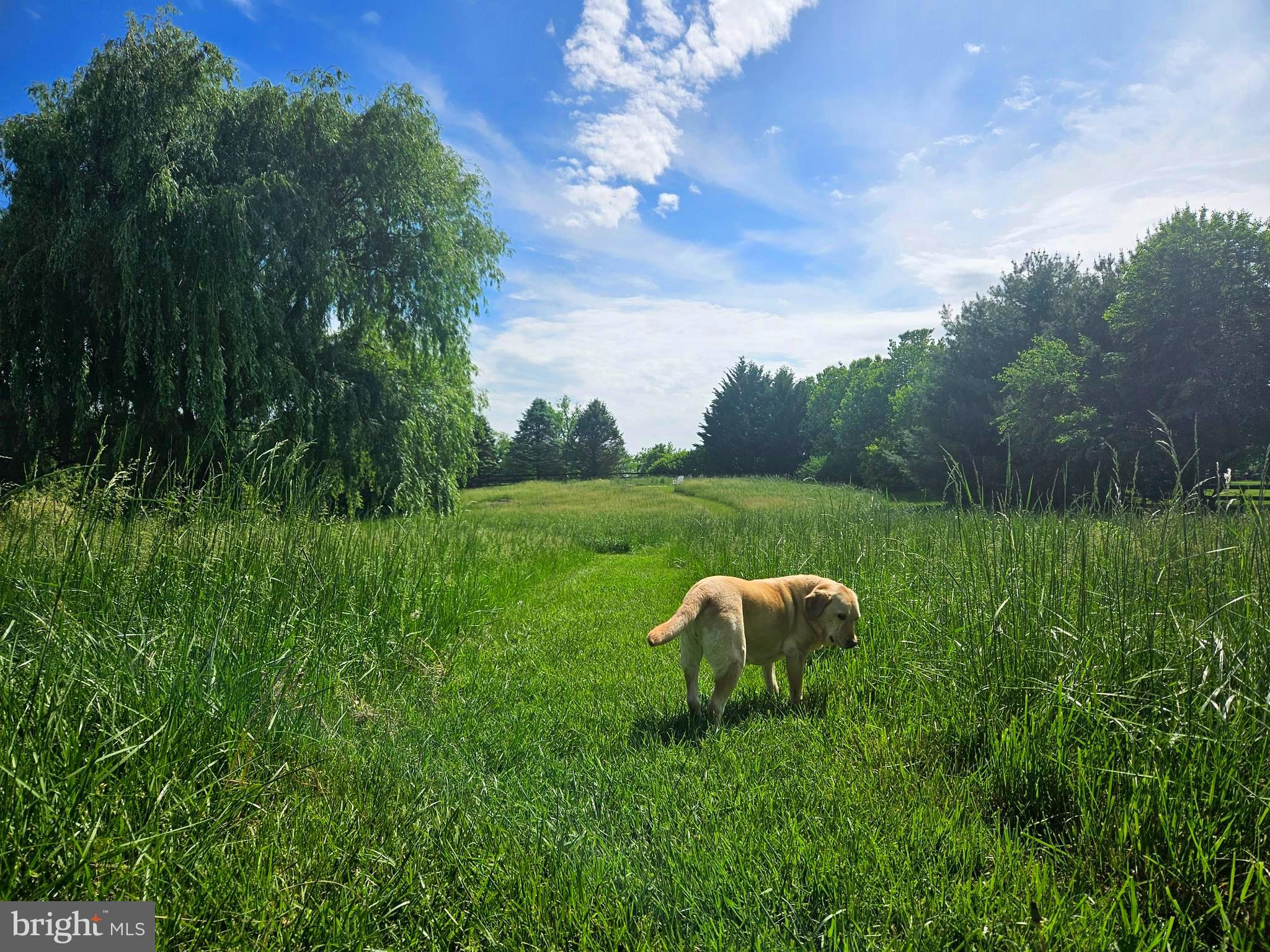 HEATHER KNOLLS - Residential