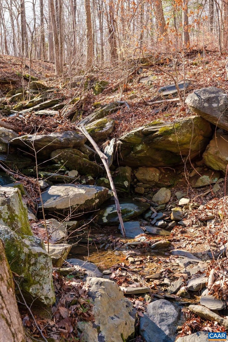 This gorgeous 2.12 acre lot in Stoney Creek has dozens of mature trees, numerous  rock outcroppings and a seasonal stream with a sweet waterfall! A walkway into the property has just been cleared and is marked with red surveyor tape. It's been perk tested for a 4 bedroom house and has had a site plan done as well. Take a short stroll over to Lake Monocan to swim, fish or paddle. It's also close to Rodes Farm pool, bike paths, golf, tennis and the famous Nelson County Farmers Market! There are many wineries, breweries, cideries and distilleries to visit along the Nelson 151 Trail and Wintergreen Mountain Resort is just up the road. Take a walk up to Crabtree Falls, hike the AT, or fish and cool off in the Rockfish, Tye, Piney and James rivers. Nelson County has it all! Just 30 minutes to Charlottesville.