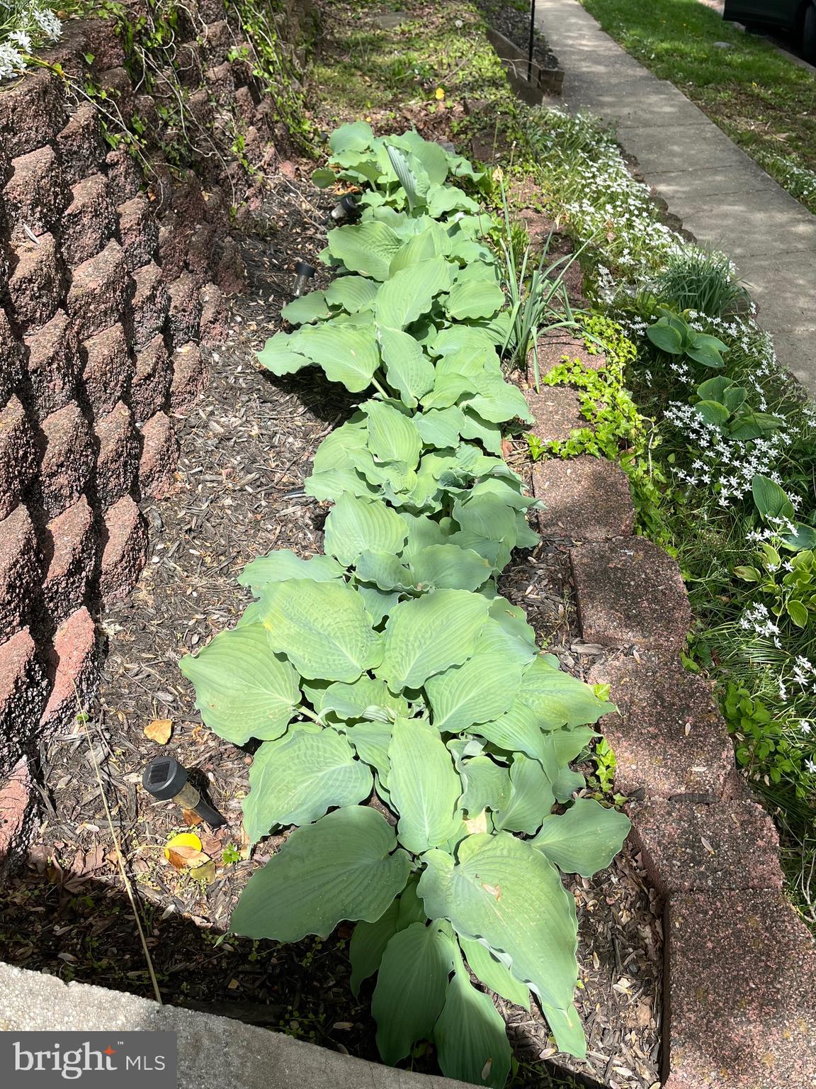 YALE HEIGHTS - Residential