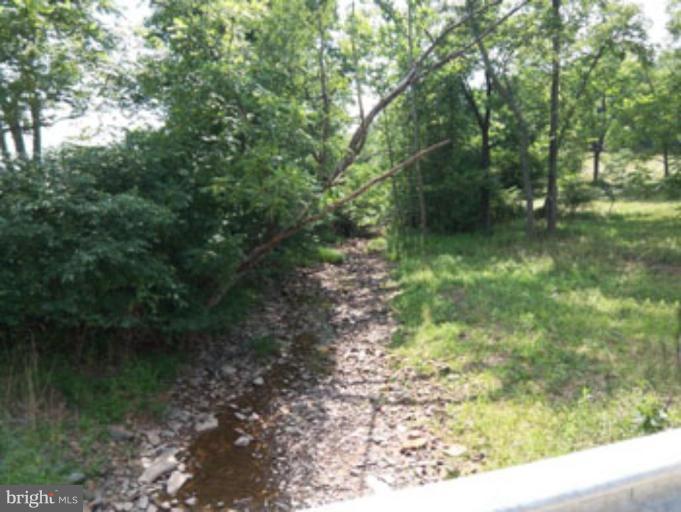 SLIM CHANCE ACRES - Land