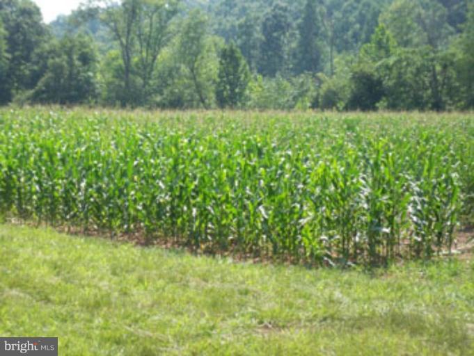 SLIM CHANCE ACRES - Land