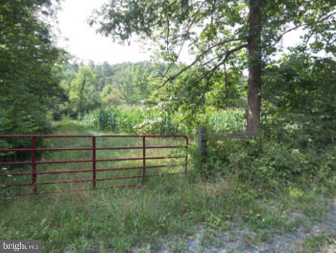 SLIM CHANCE ACRES - Land