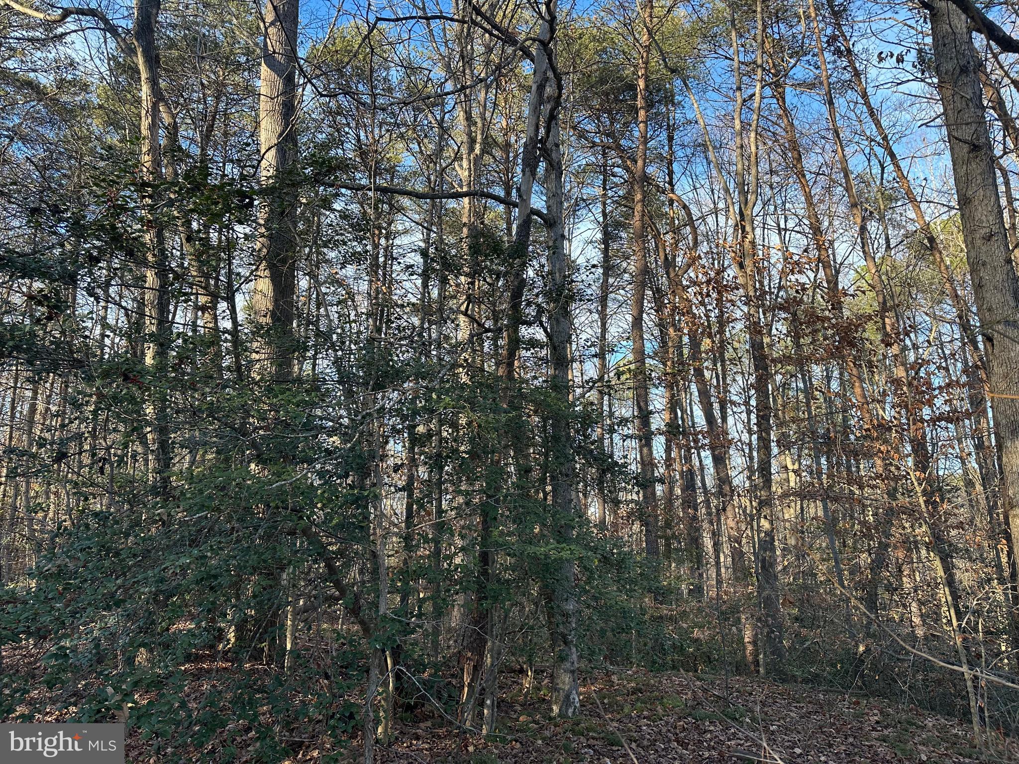 41180 LIVING WATER LANE