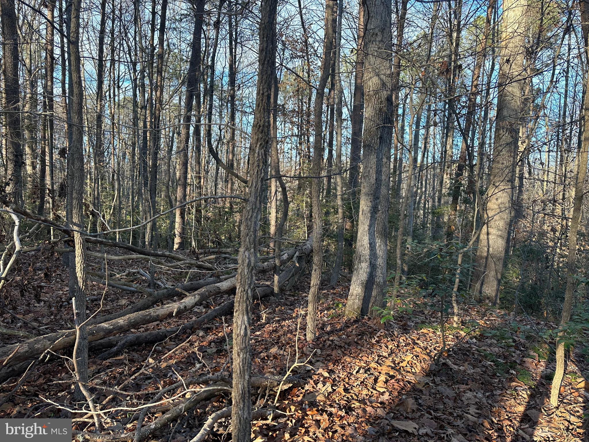 41180 LIVING WATER LANE