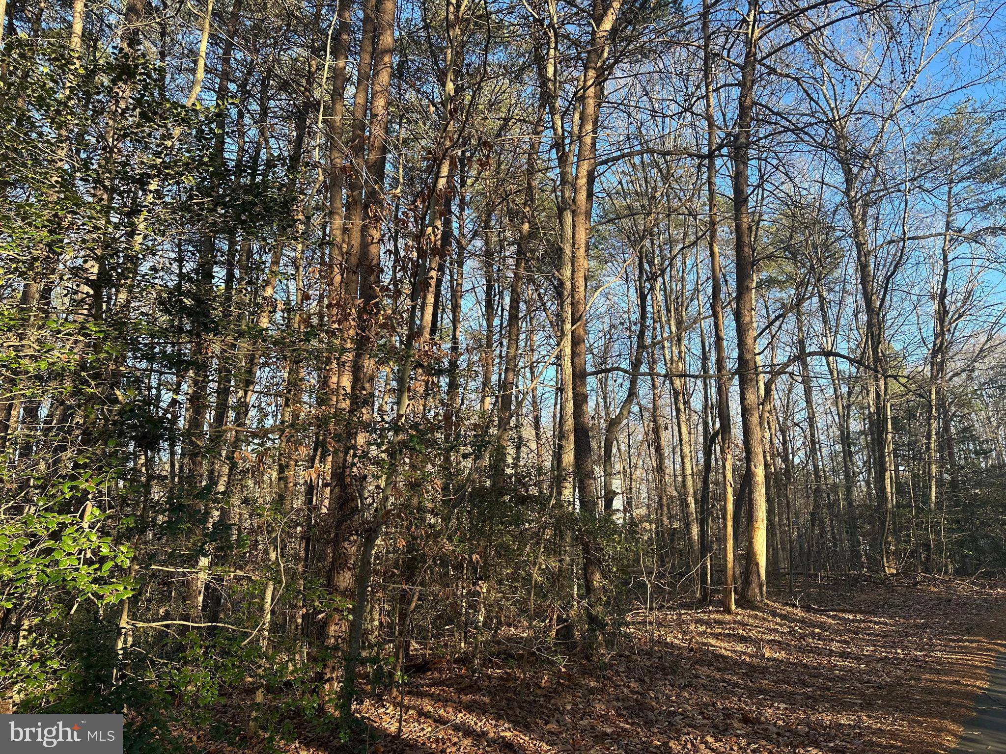 41180 LIVING WATER LANE