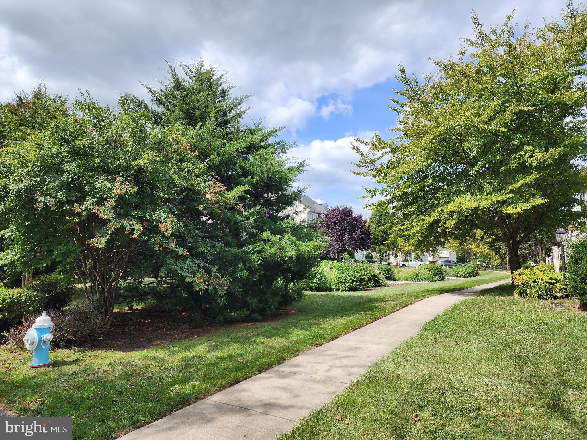 NEW TOWN MEADOWS - Residential Lease