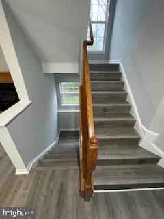 NEW TOWN MEADOWS - Residential Lease