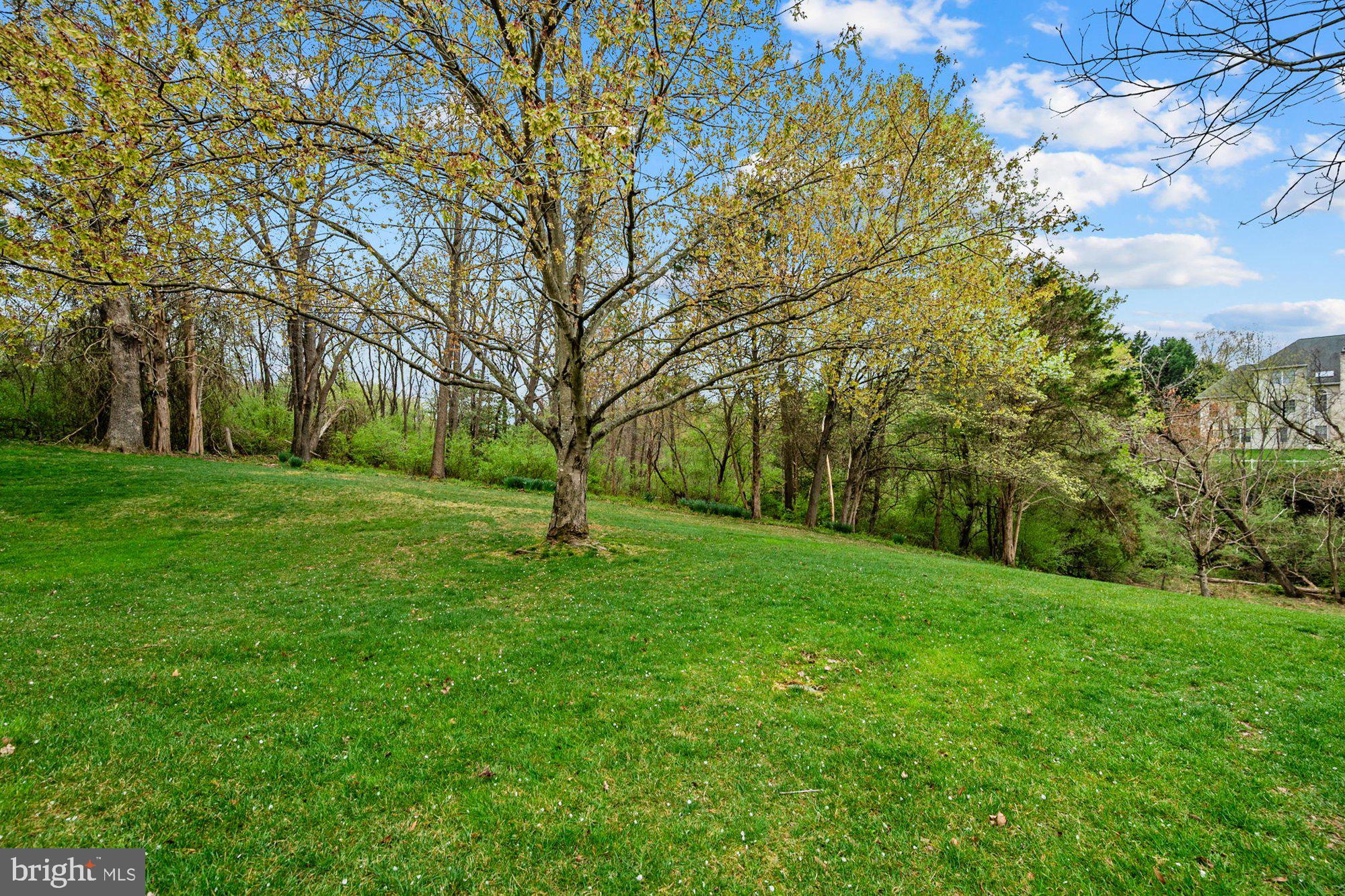 HUNTER MILL ESTATES - Residential