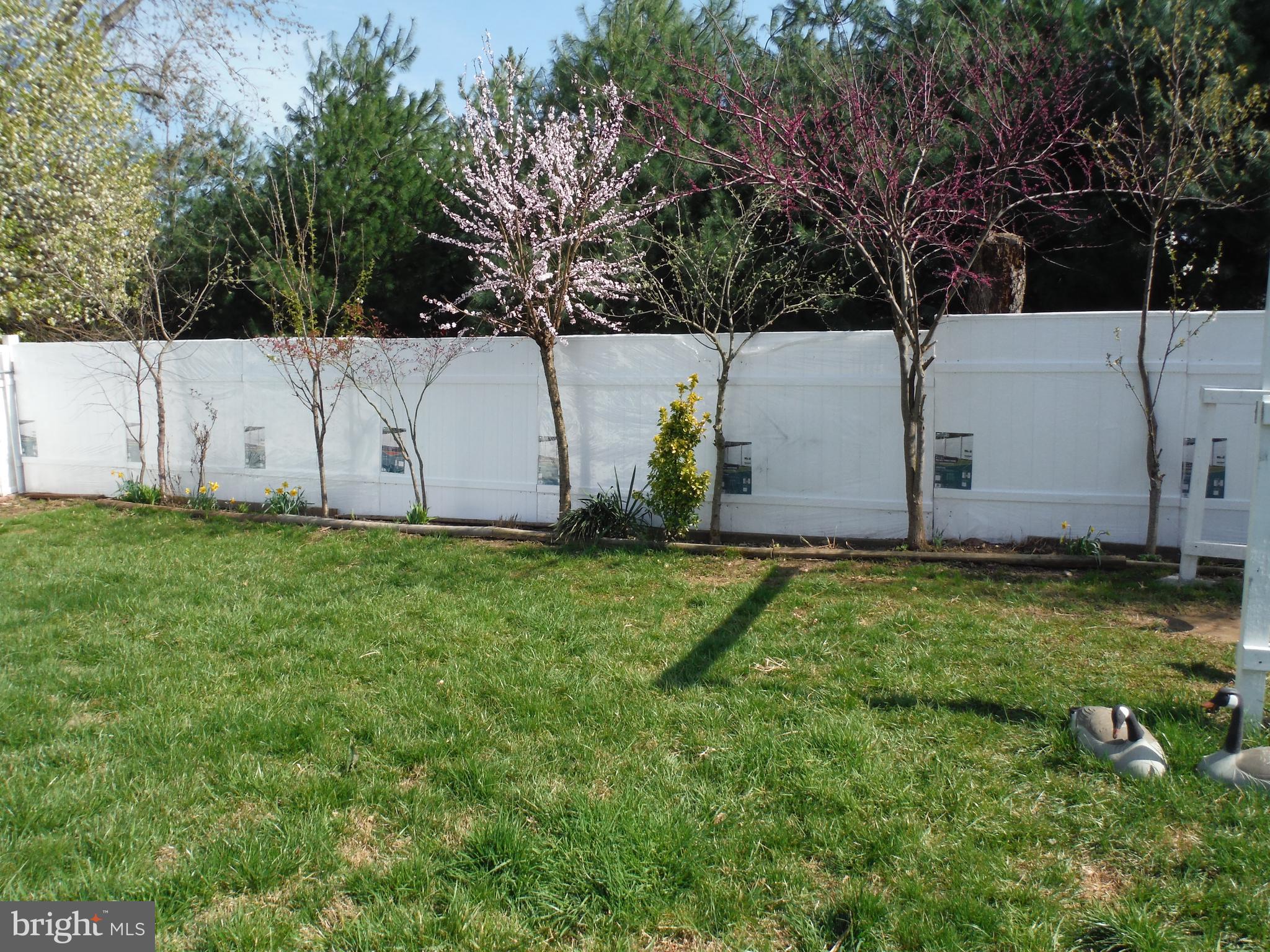 HILLSDALE - Residential