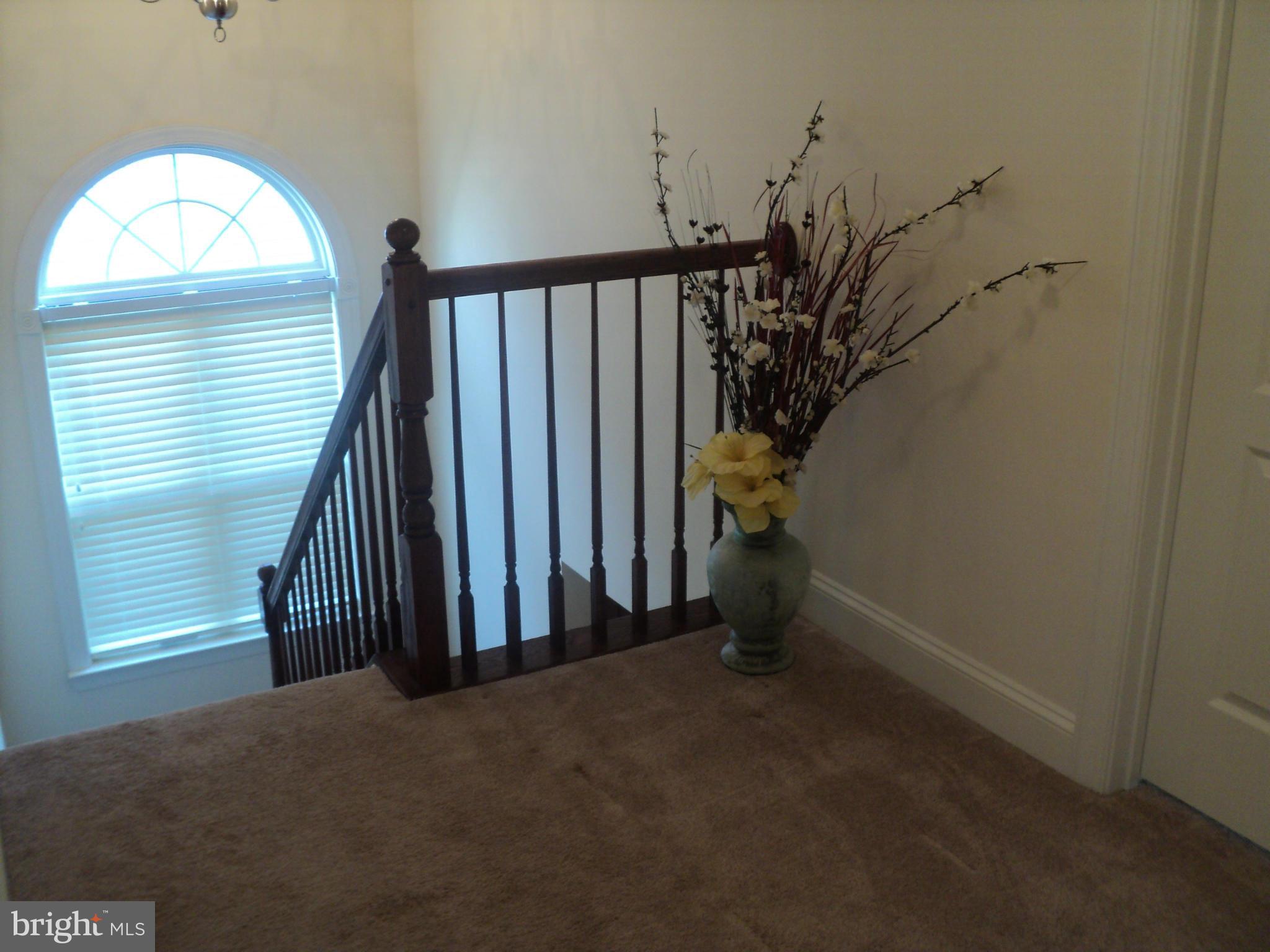 NORTH POINTE SUB - Residential