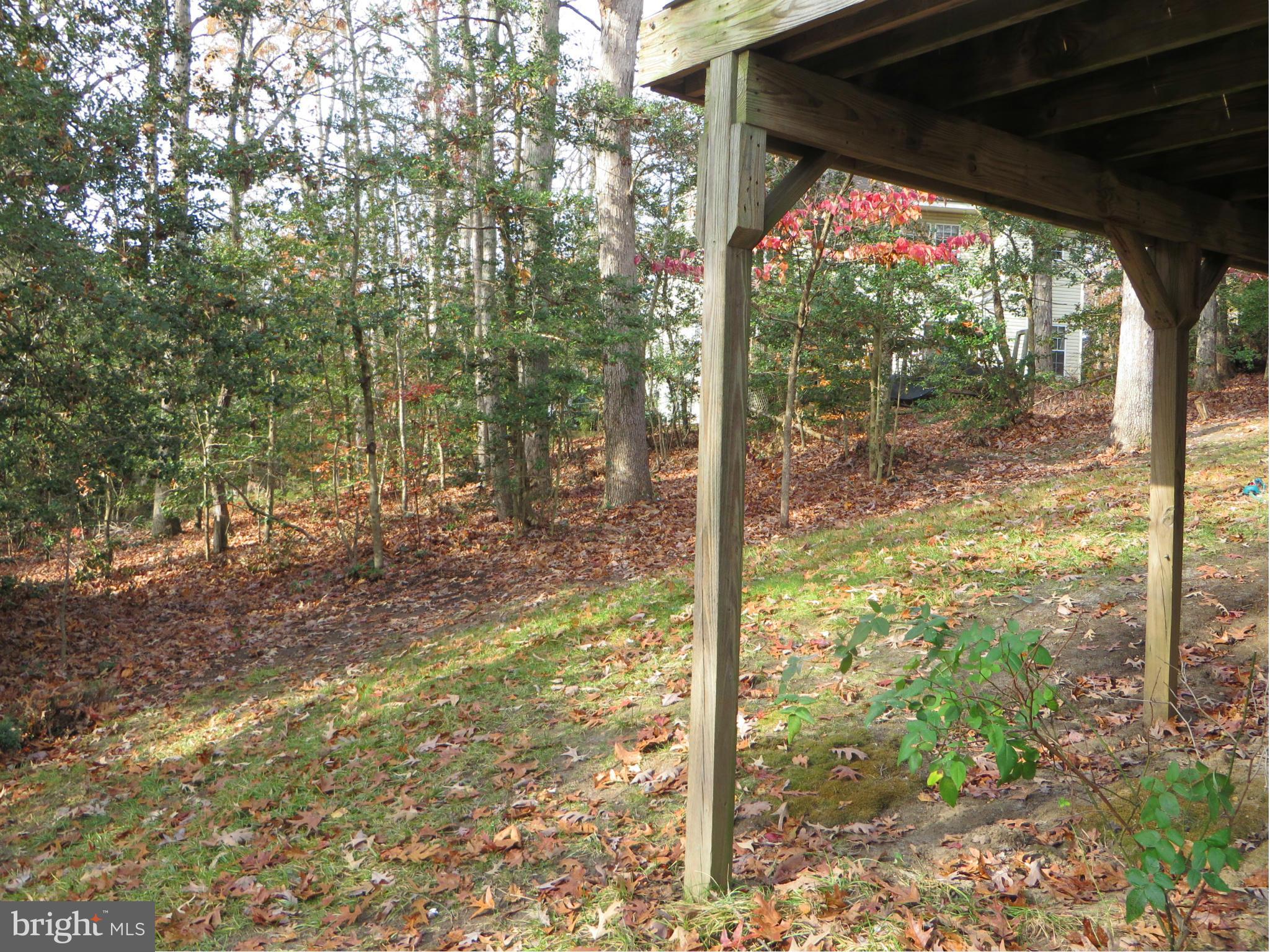 WILDEWOOD - Residential Lease